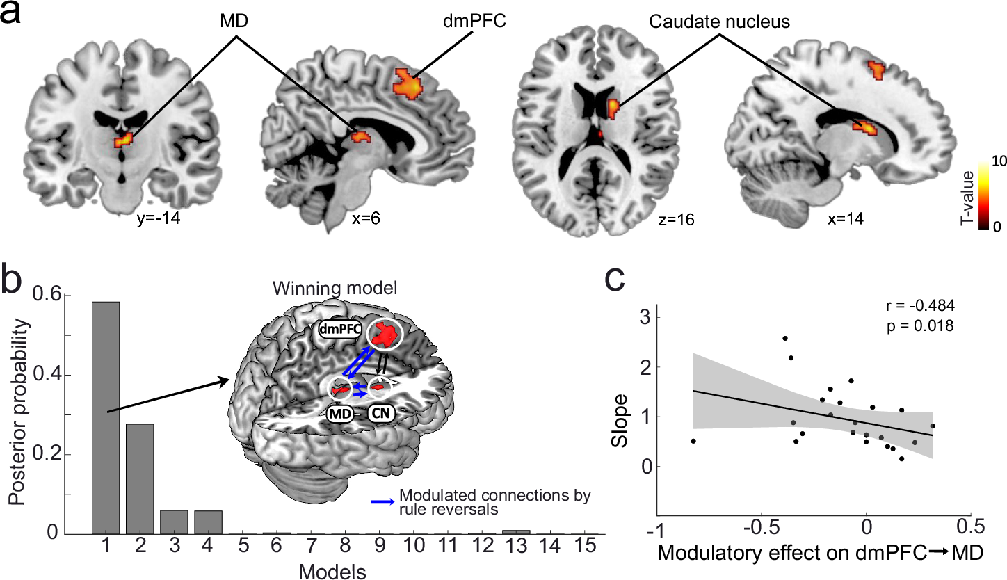 Fig. 2: Engagement of MD, dmPFC and striatum following rule reversals.