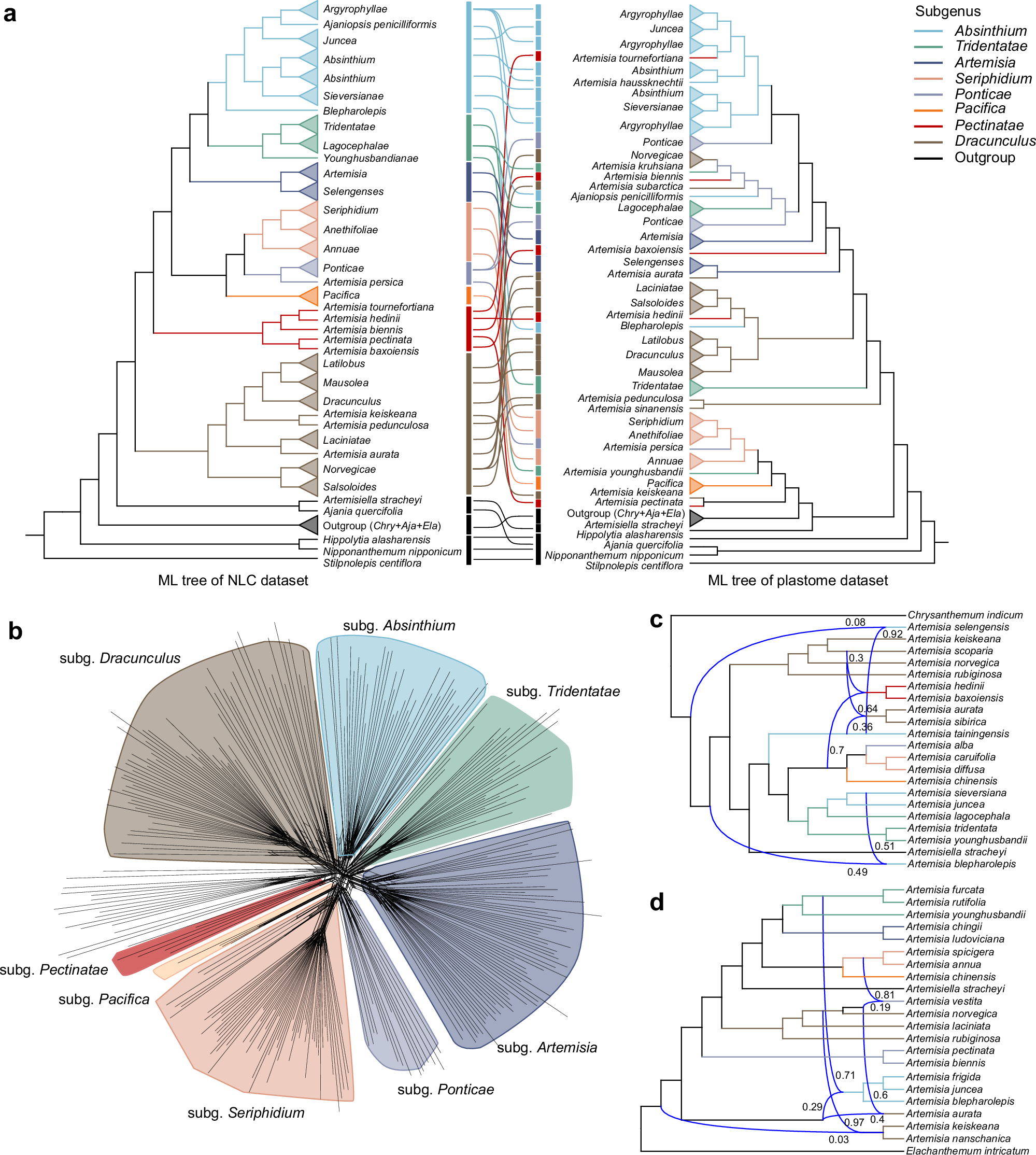 Fig. 3: Phylogenetic discordance and reticulate evolution in Artemisia.