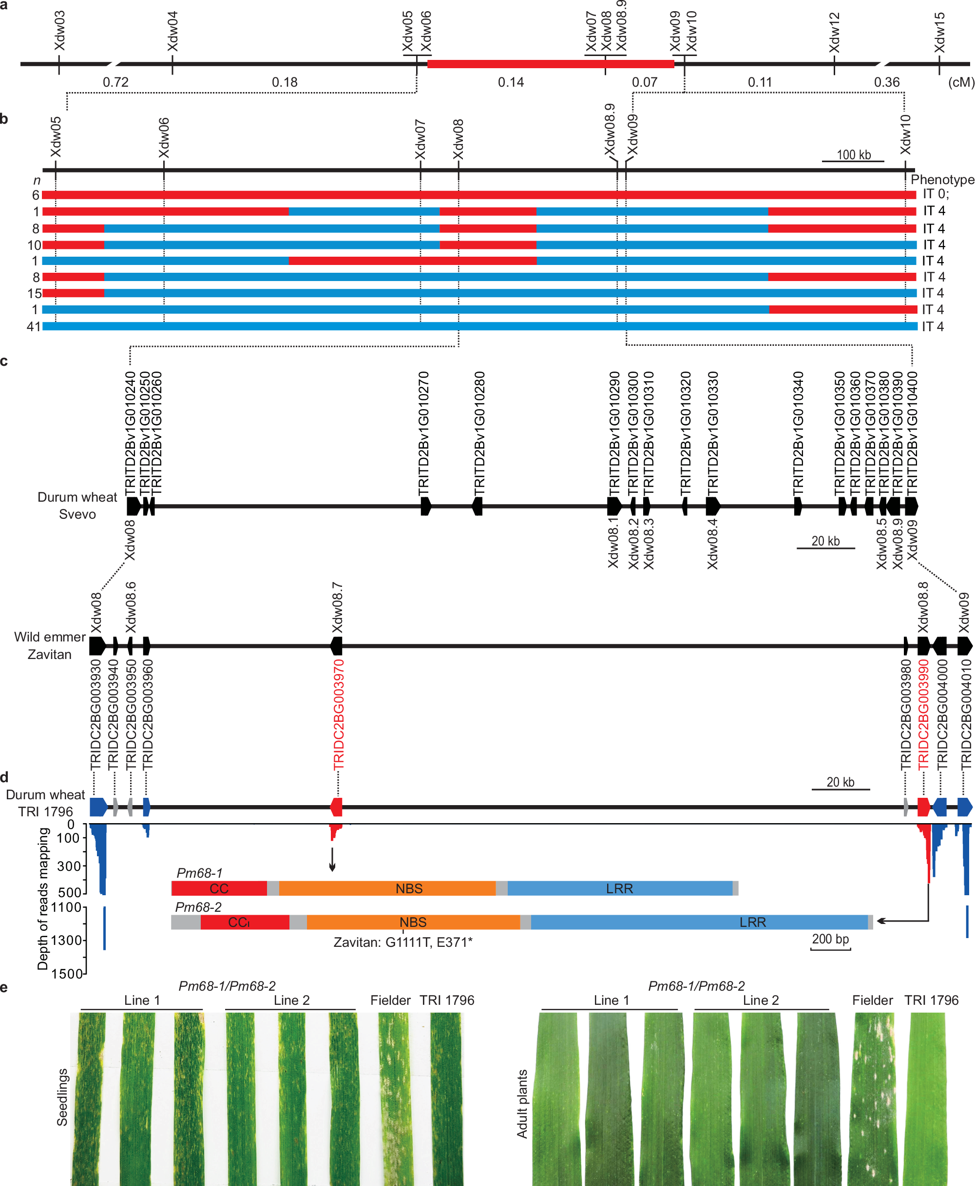 Fig. 1: Map-based cloning and functional validation of Pm68.