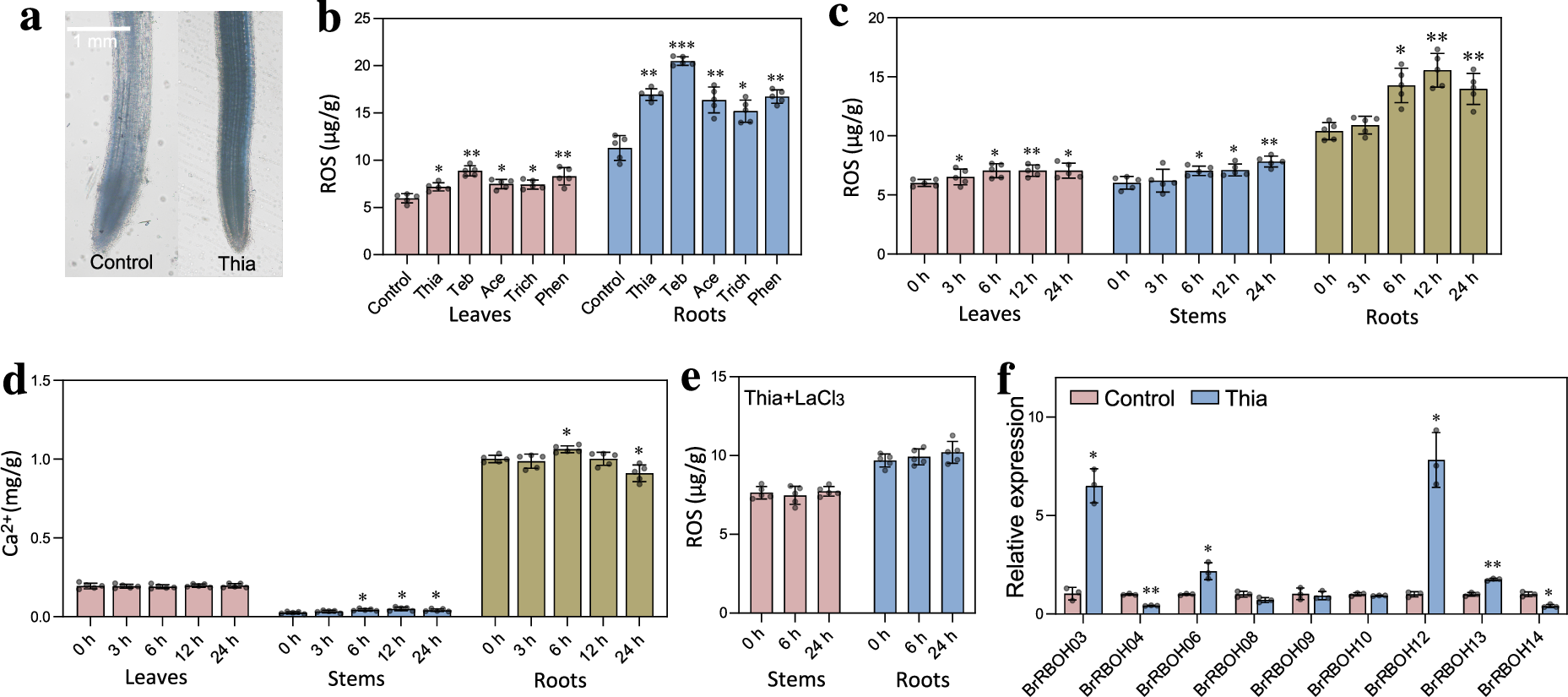 Fig. 3: Intercellular transmission of Ca2+-induced ROS signaling from stressed plant leaves to roots.