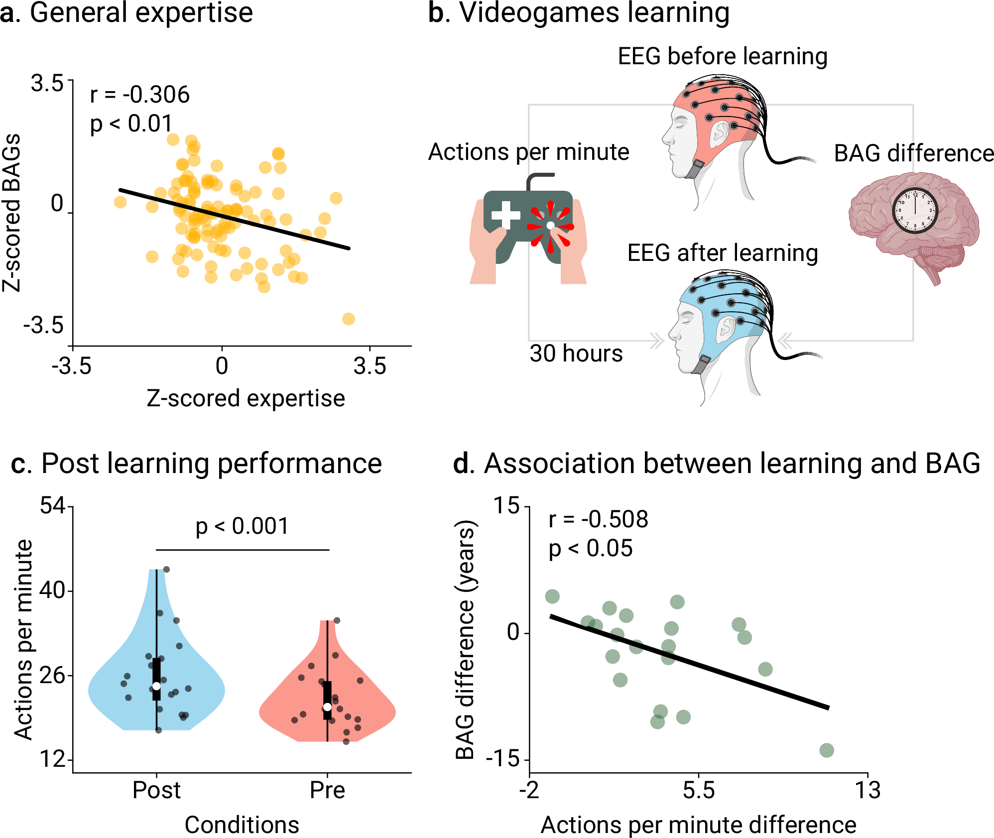 Fig. 3: Creative experiences relationship with brain age gaps (BAGs).