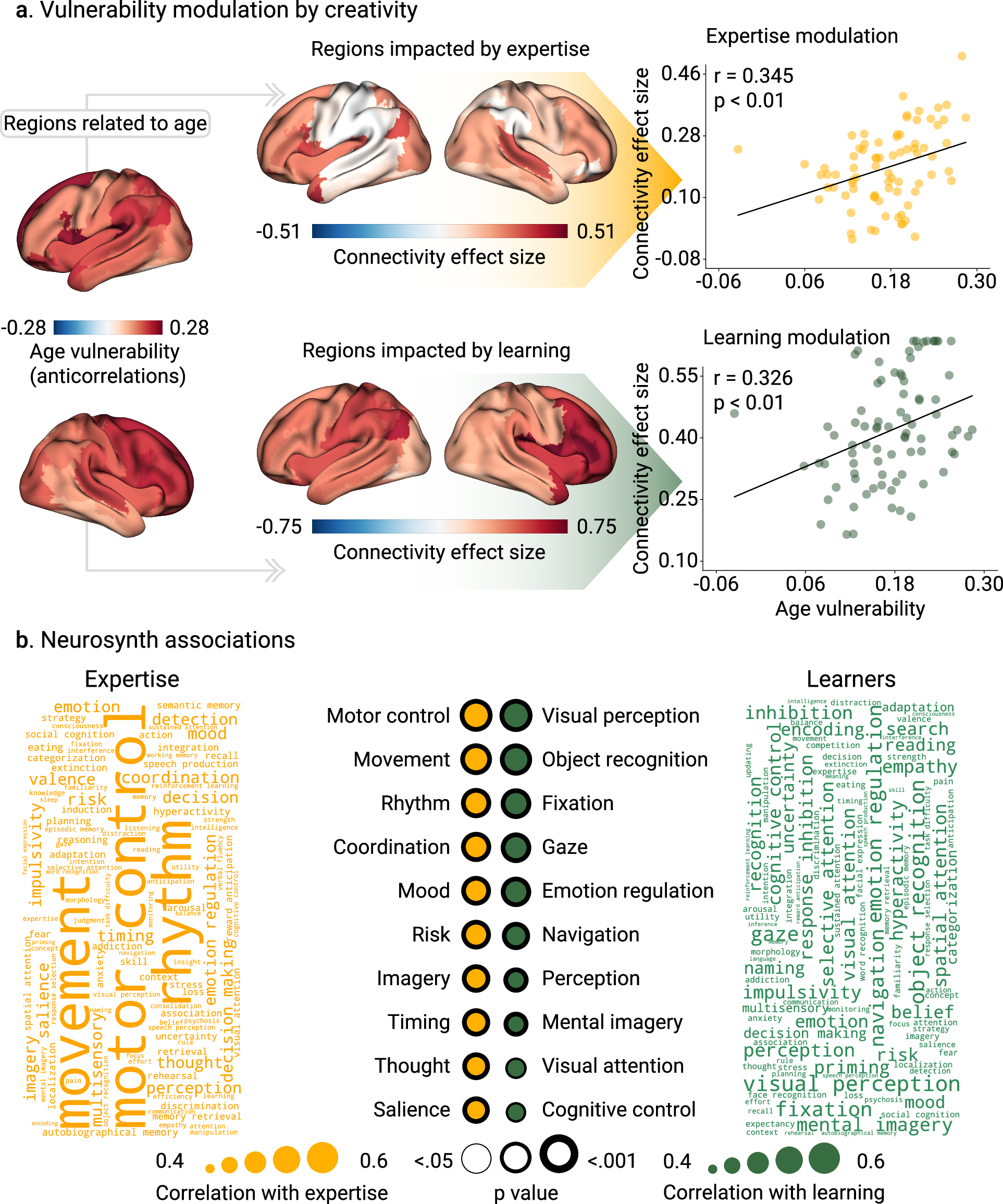 Fig. 4: Topographic patterns of connectivity associated with creative experiences.