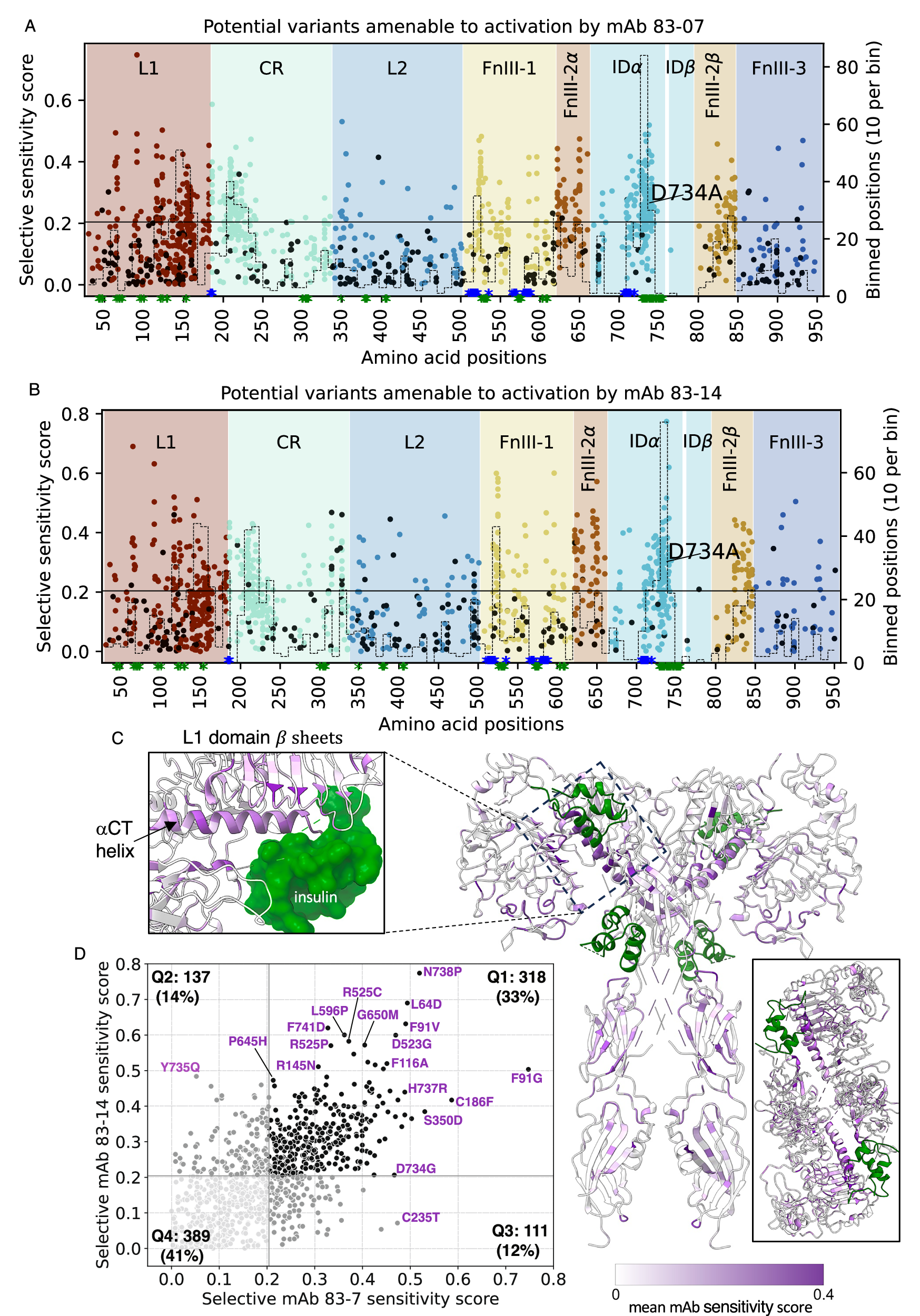 Fig. 7: Location of INSR variants with impaired insulin binding amenable to monoclonal antibody activation.