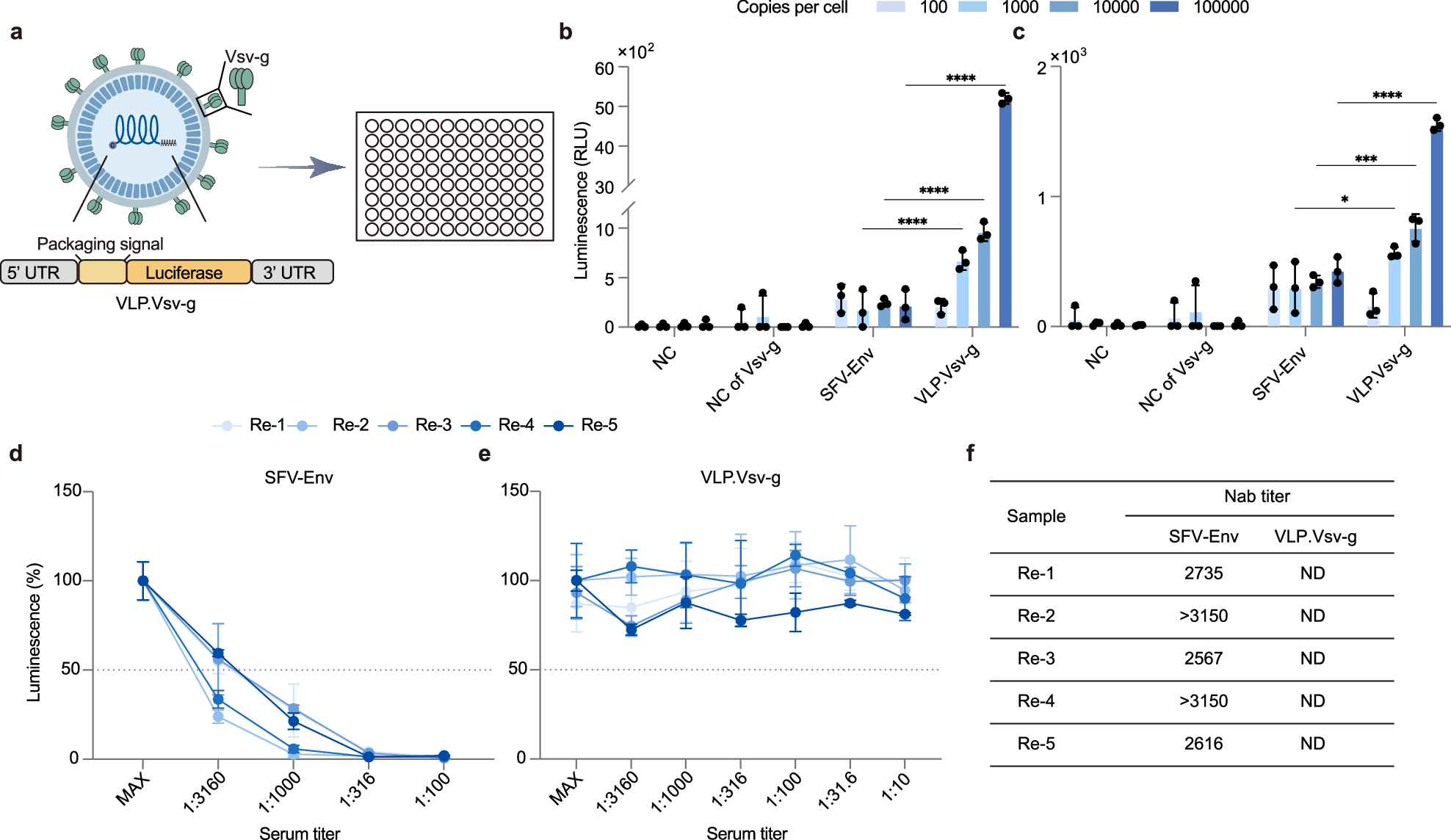 Fig. 5: Engineering Env through pseudotyping with viral envelope protein Vsv-g for extended in vitro targeting capabilities and Nab escaping.