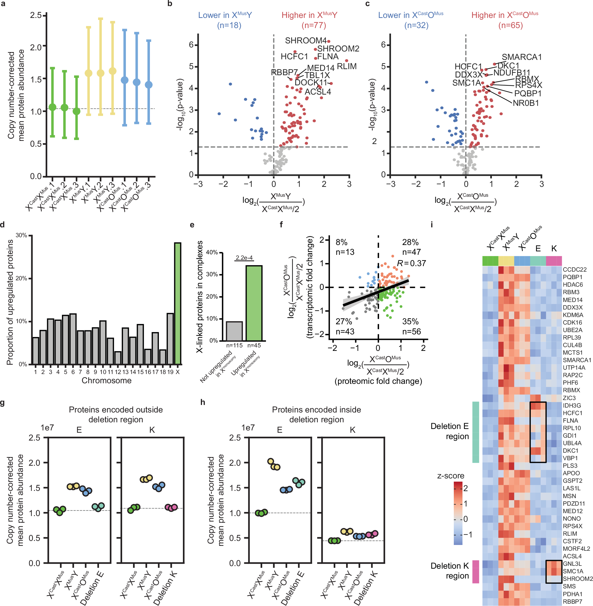 Fig. 6: Protein-level dosage compensation is induced within regions of monosomic expression on the X chromosome.