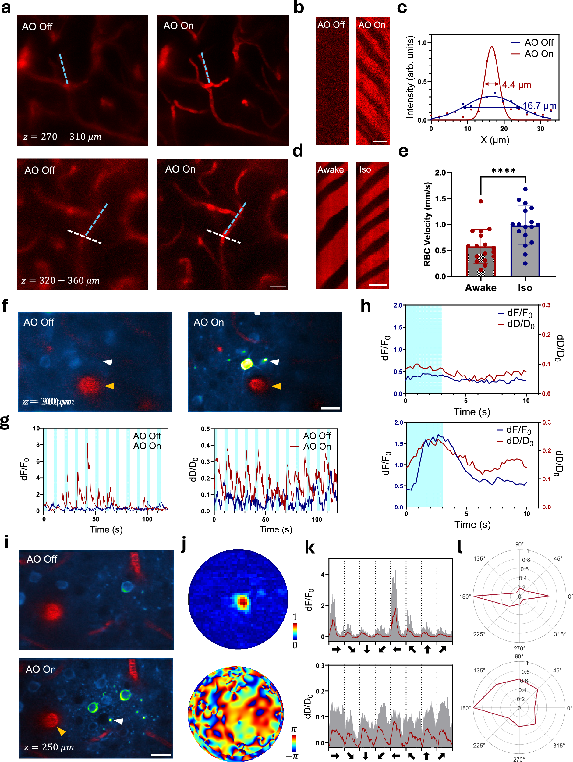 Fig. 4: MD-FSS-2PM imaging of microvascular hemodynamics and neurovascular coupling in awake behaving mice.