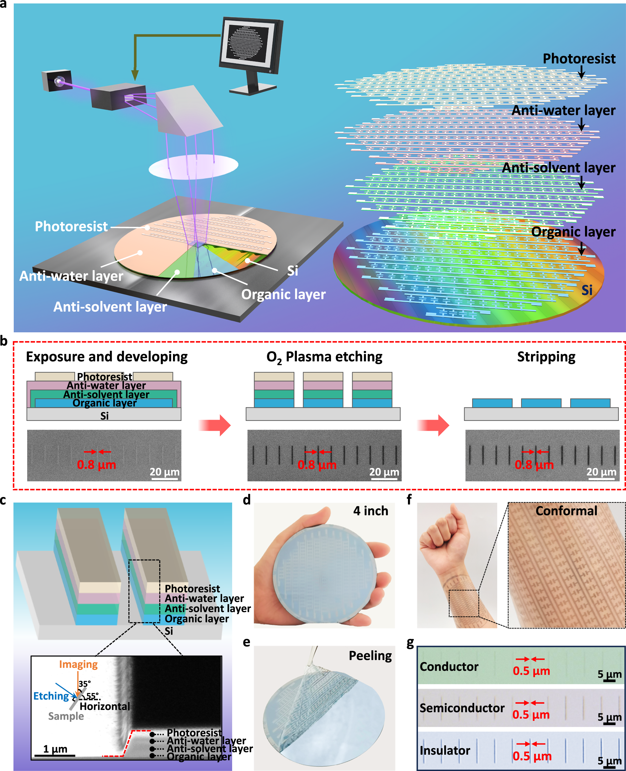 Superintegrated conformable organic transistors based on a universal  microlithographic strategy | Nature Communications