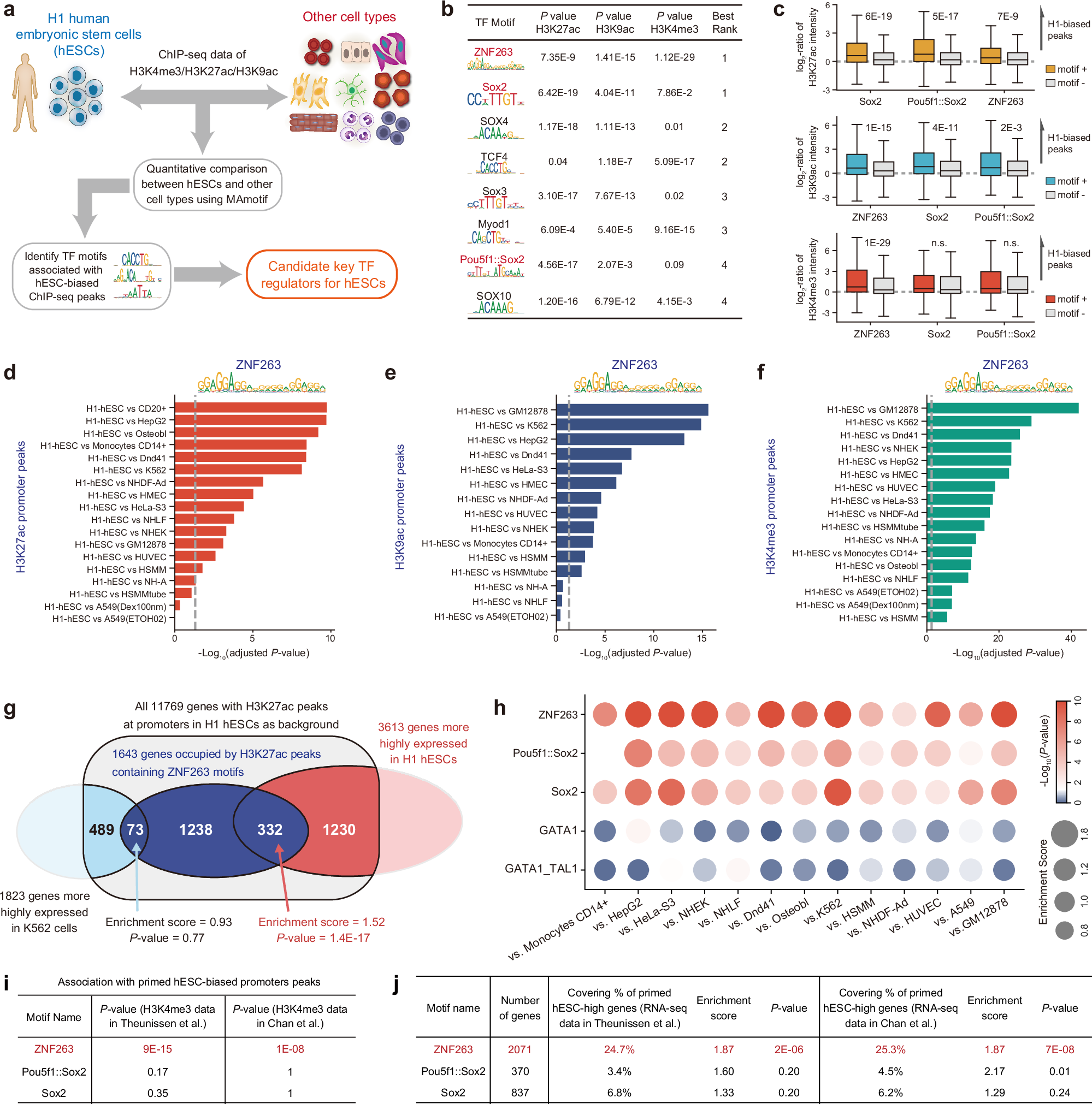 Fig. 1: In-silico screening using MAmotif.