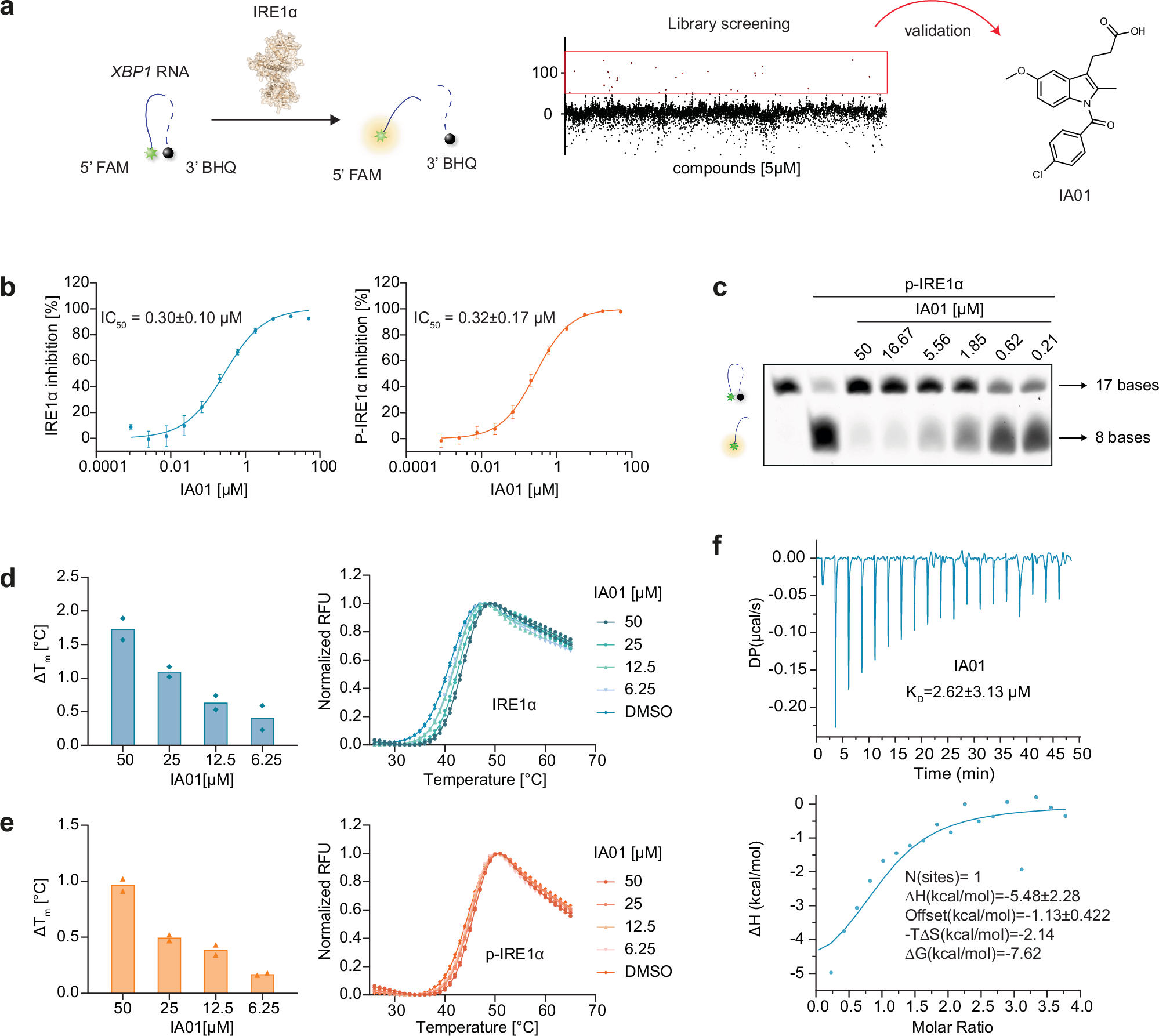 Fig. 2: Discovery of the indole-based IRE1α RNase inhibitor IA01.