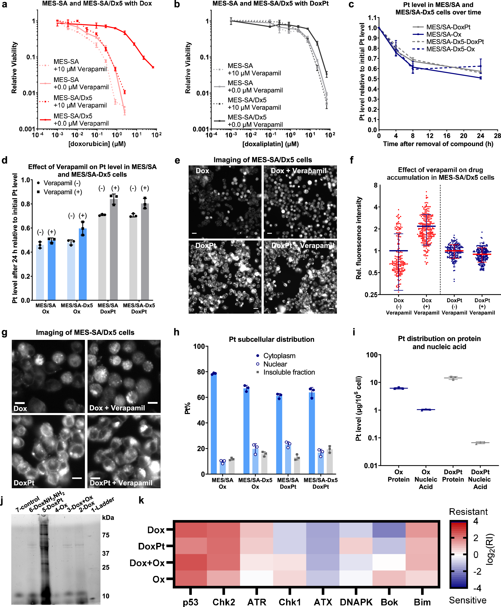 Fig. 3: Investigation of the modes of action of DoxPt.