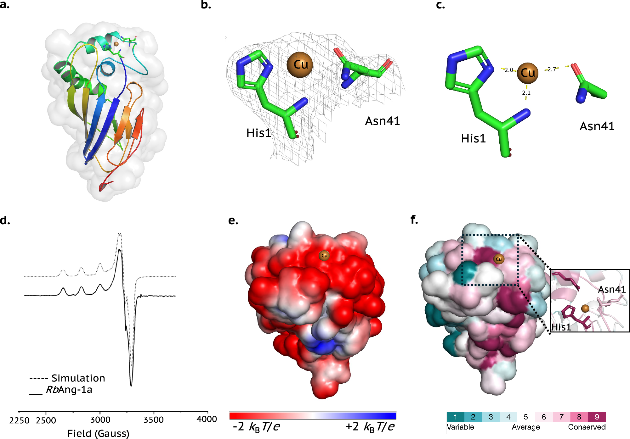 Fig. 5: Structures of Cu-containing RbAng-1a.