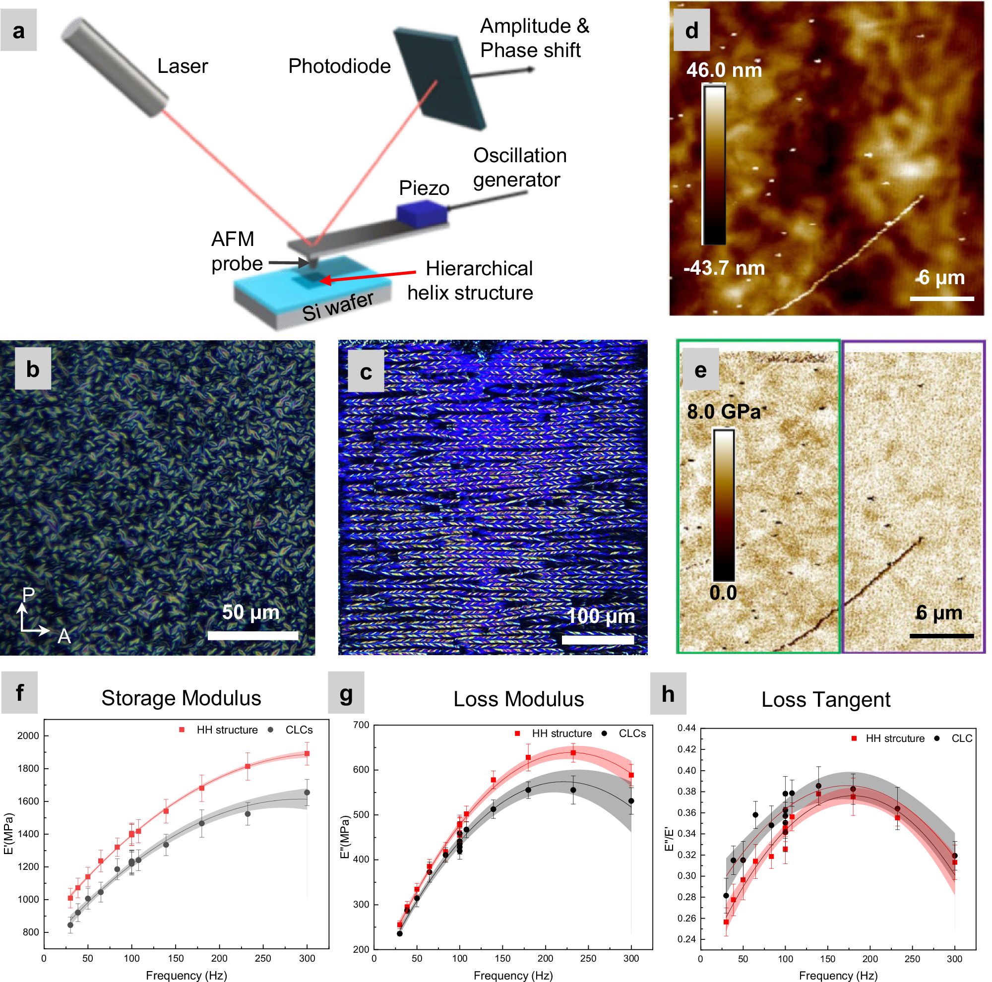 Fig. 7: Nano-mechanics of soft-templated hierarchical helical morphology.