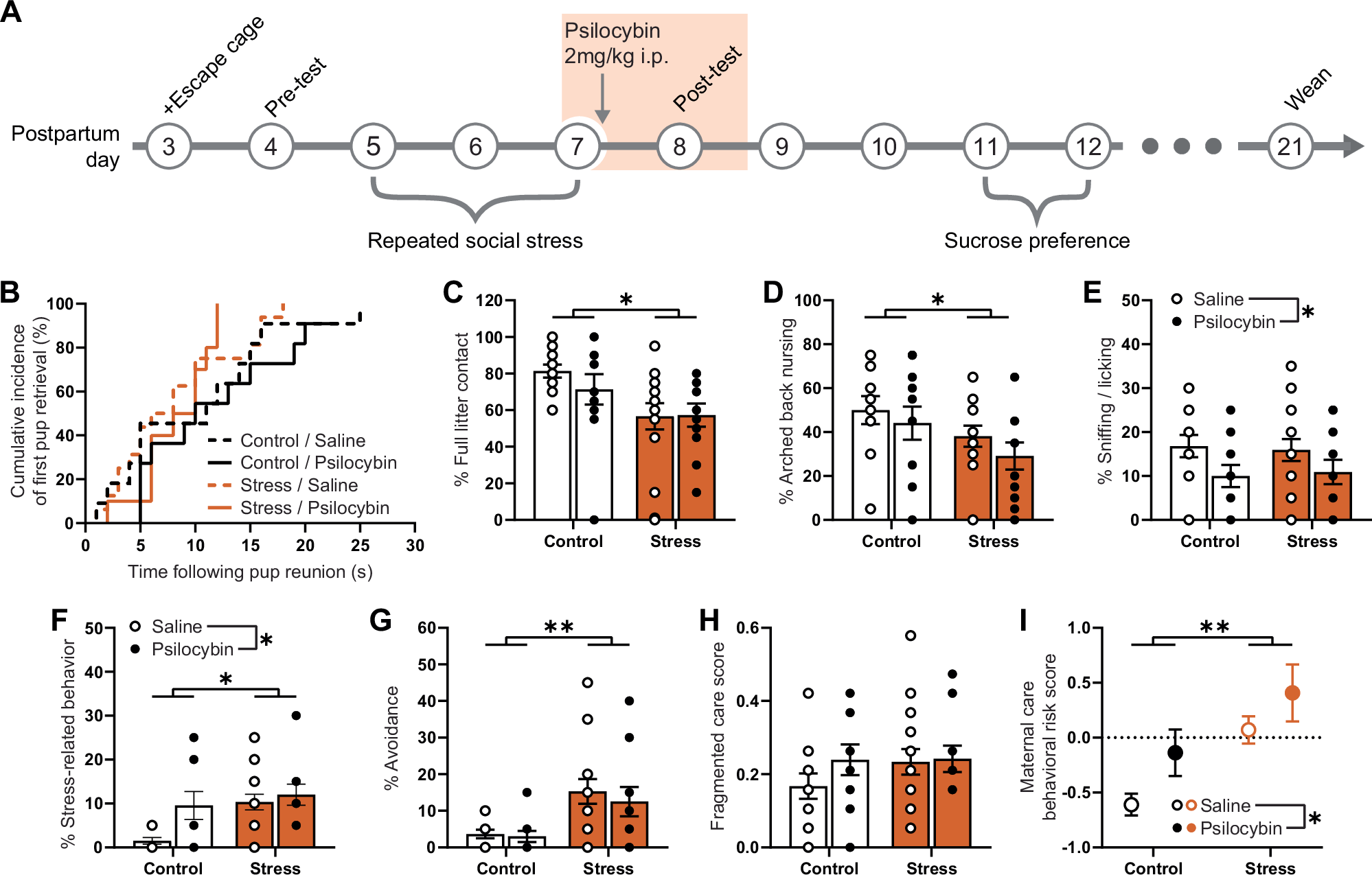 Fig. 2: Psilocybin does not treat social stress-induced impairments in maternal care.