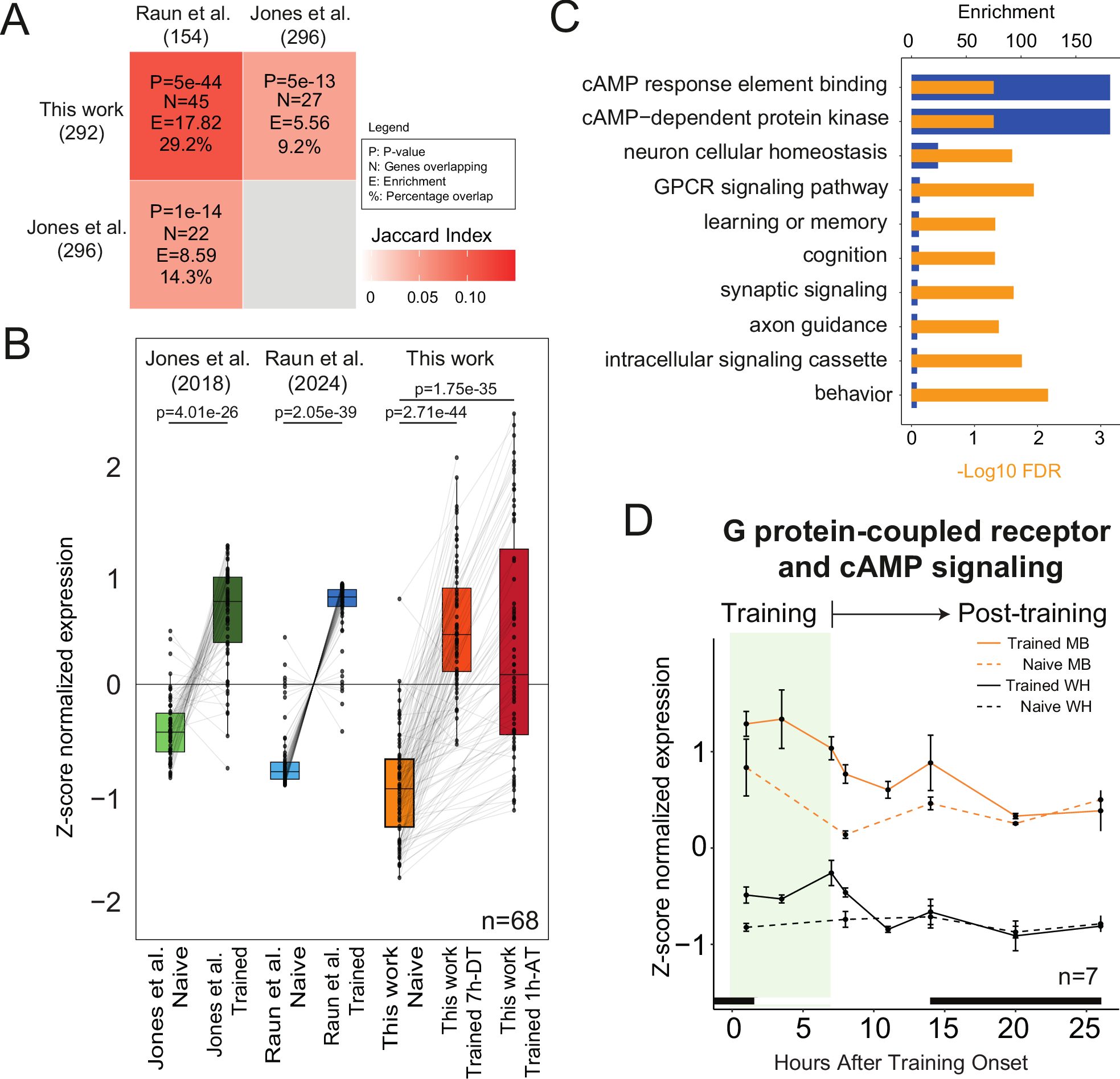 Fig. 3: Induction of memory signaling genes during LTM consolidation.