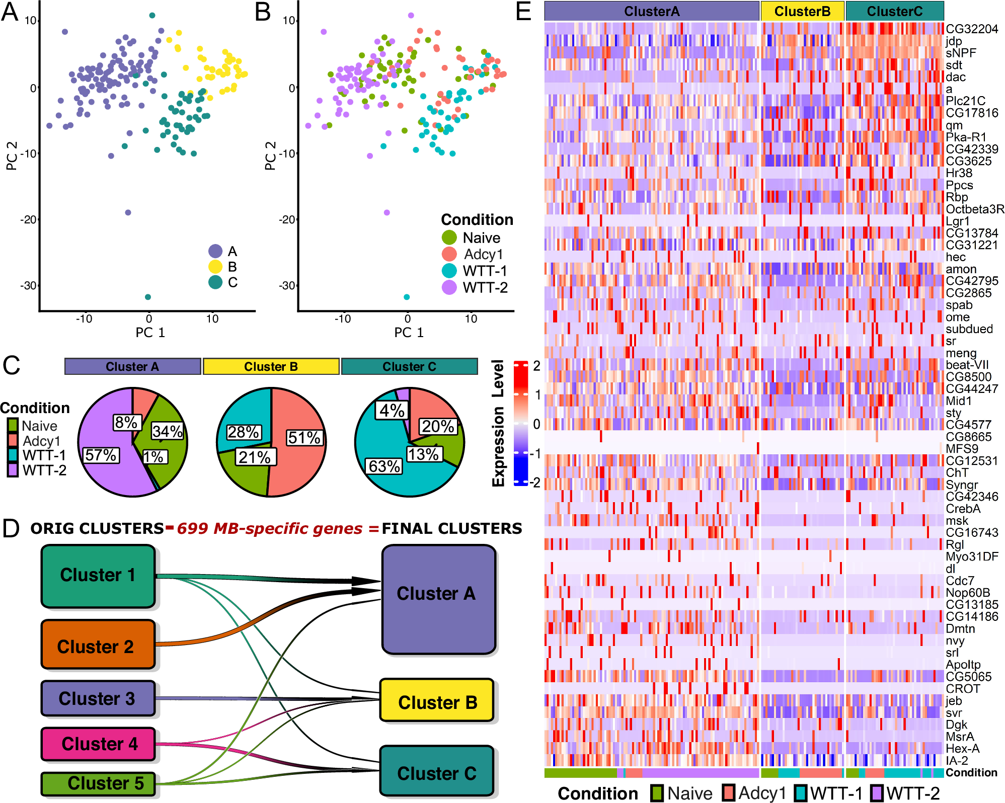 Fig. 6: Removal of MB- and lobe-specific genes still identifies the putative memory-forming neuronal population.