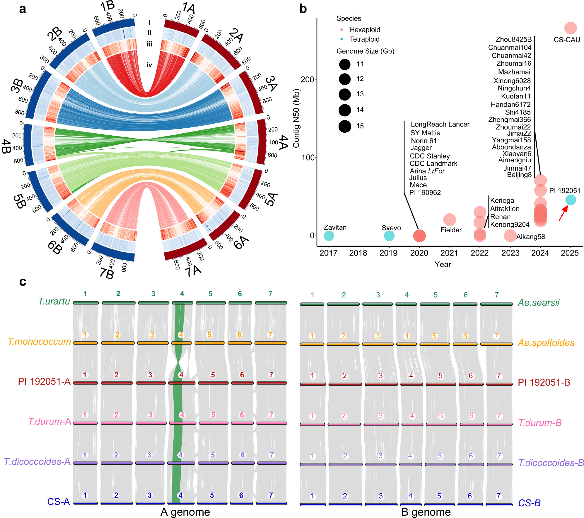 Fig. 2: A high-quality genome assembly of the durum wheat landrace PI 192051.