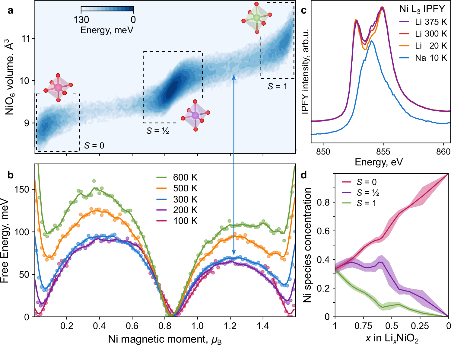 Fig. 2: Temperature dependence of spin disproportionation from simulation and experiment.