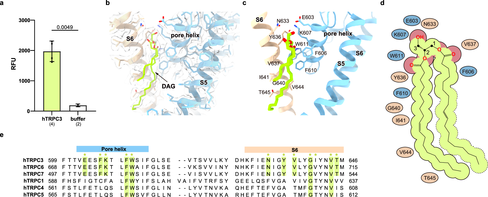 Fig. 2: The binding site of DAG on hTRPC3.