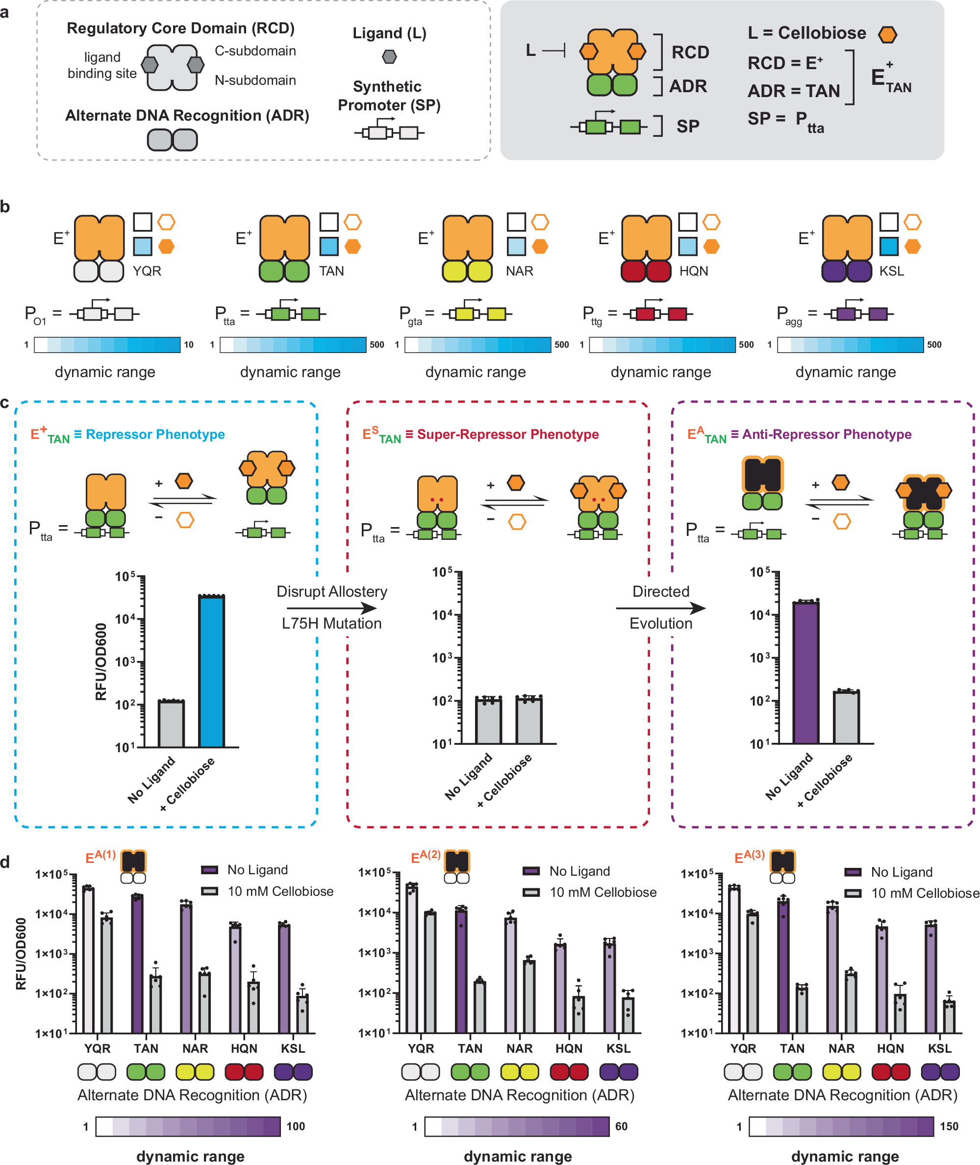 Engineering wetware and software for the predictive design of compressed  genetic circuits for higher-state decision-making | Nature Communications