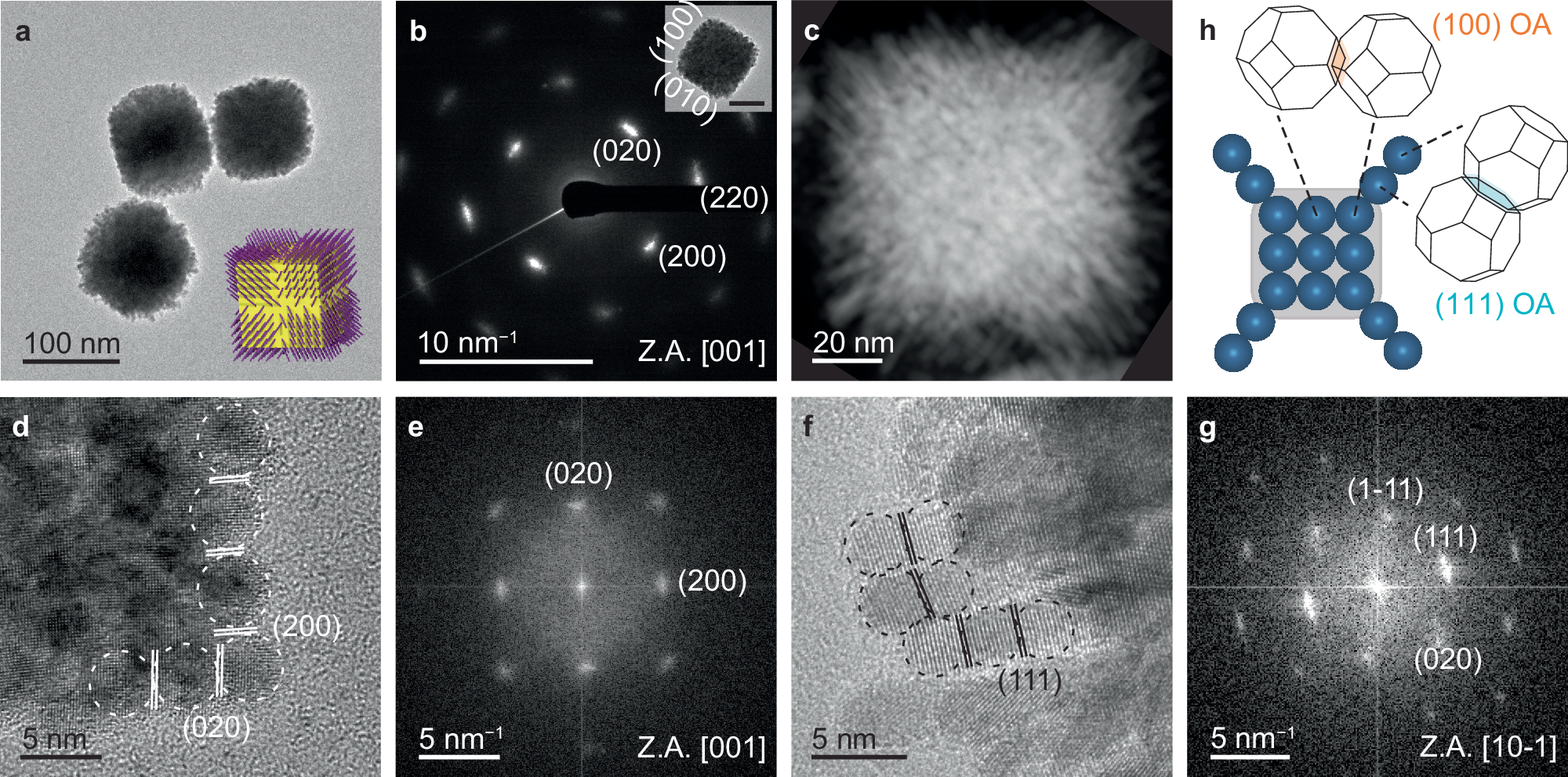 Fig. 1: Morphological analysis of branched cubic Pt mesocrystals.