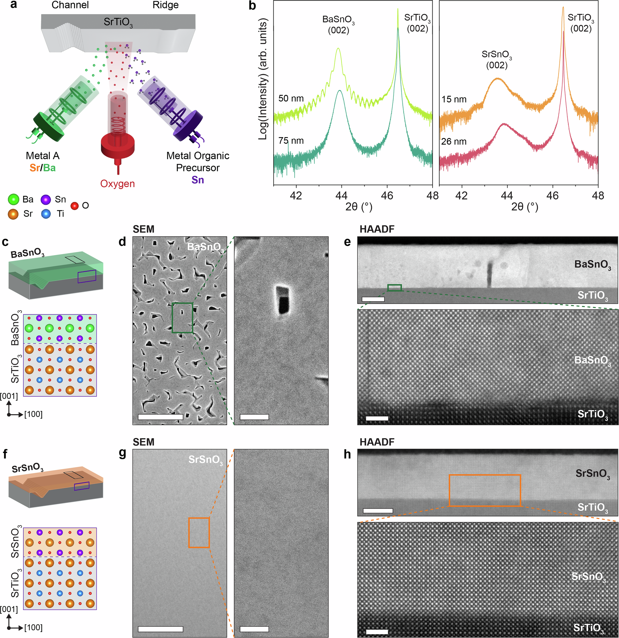 Fig. 3: Growth of perovskite BaSnO3 and SrSnO3 thin films on patterned (001) SrTiO3 substrates.