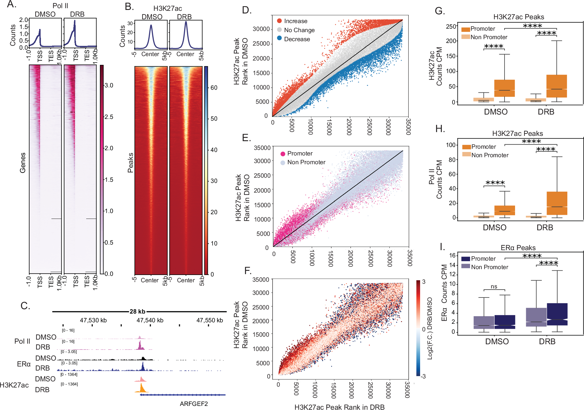 Fig. 5: Polymerase-paused regions exhibit increased levels of H3K27ac.