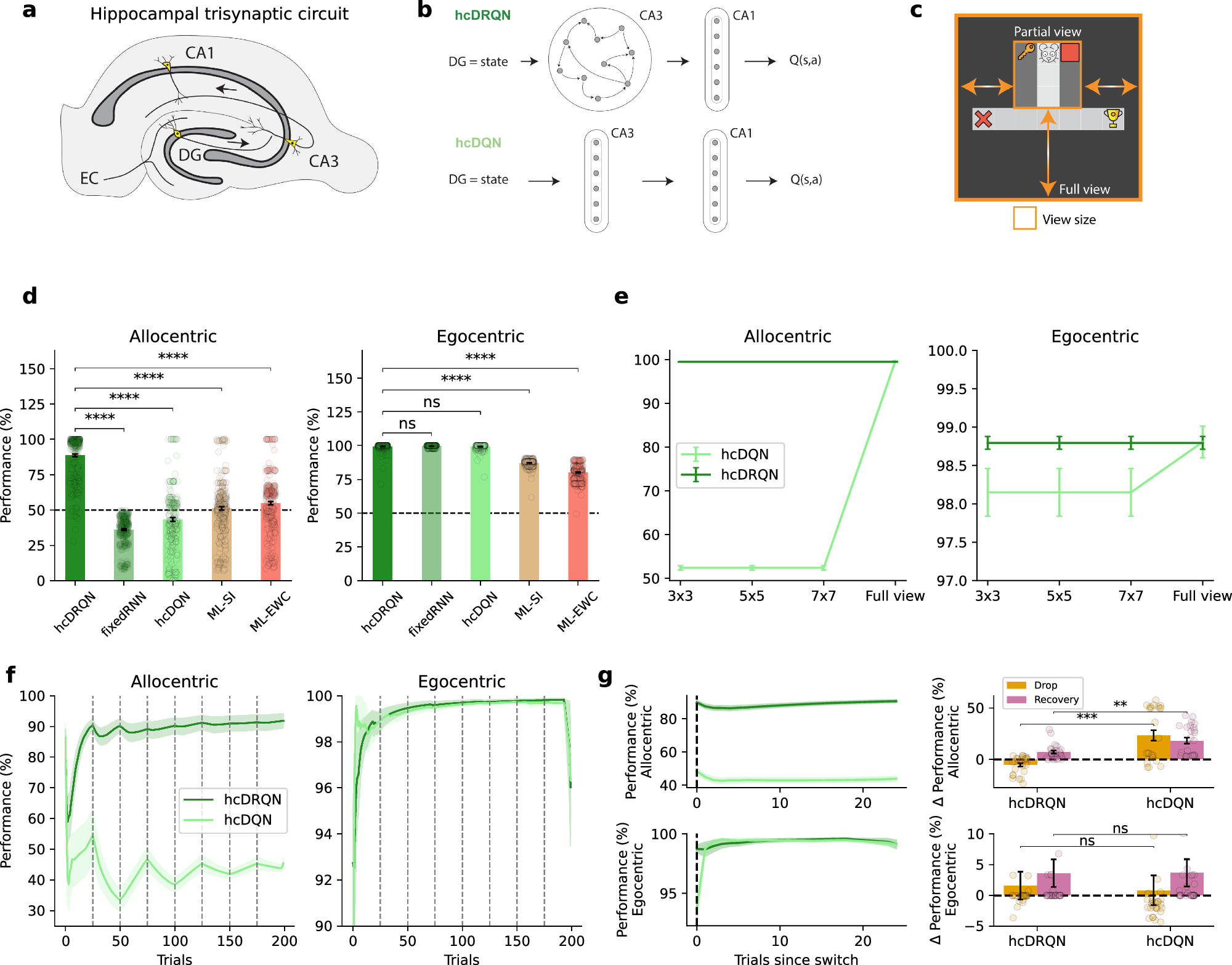 Fig. 2: Reinforcement learning agents with recurrence jointly learn ego and allocentric tasks.