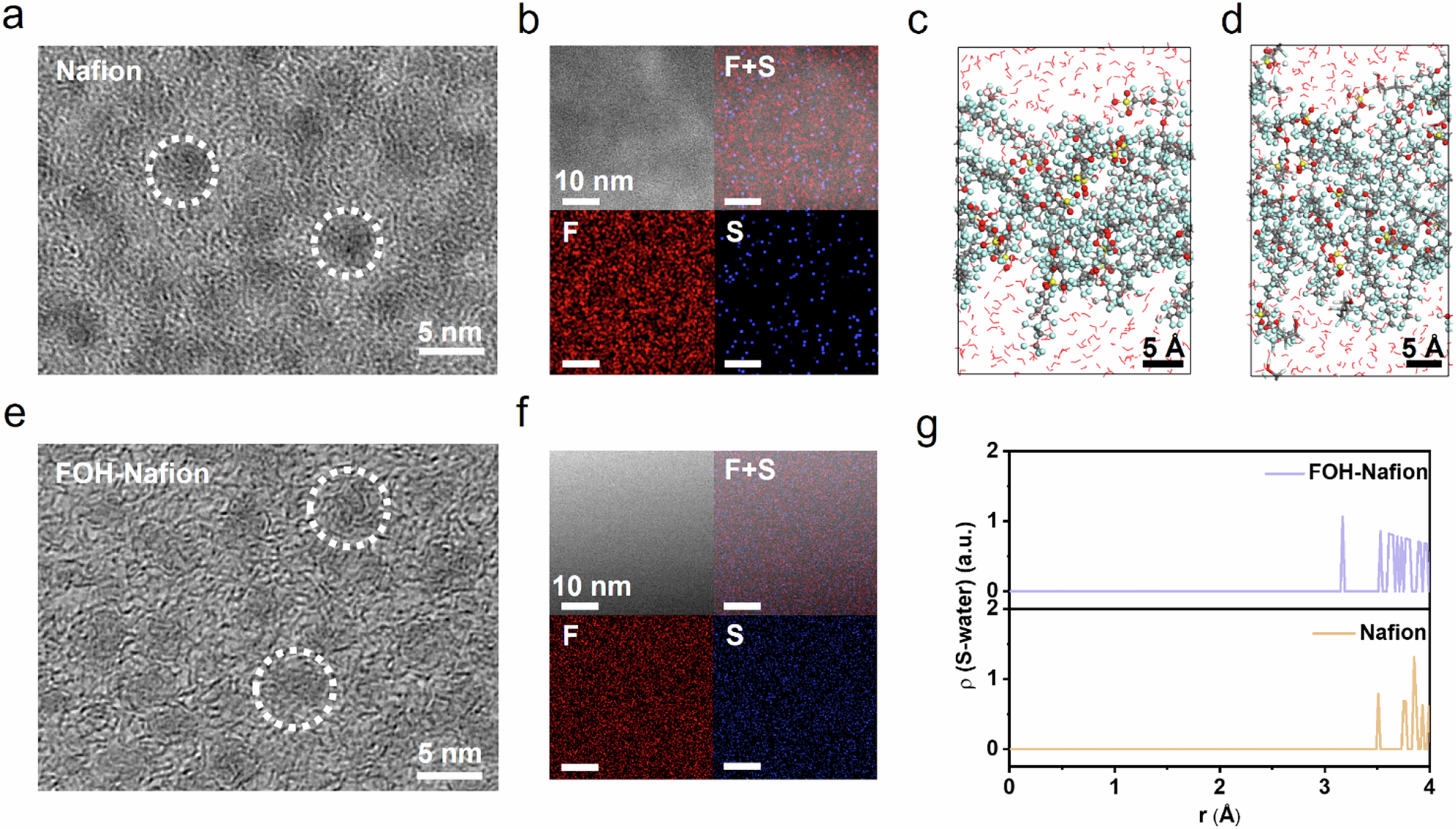 Fig. 2: Morphology, composition distribution and molecular dynamics (MD) simulations of FOH-Nafion film.