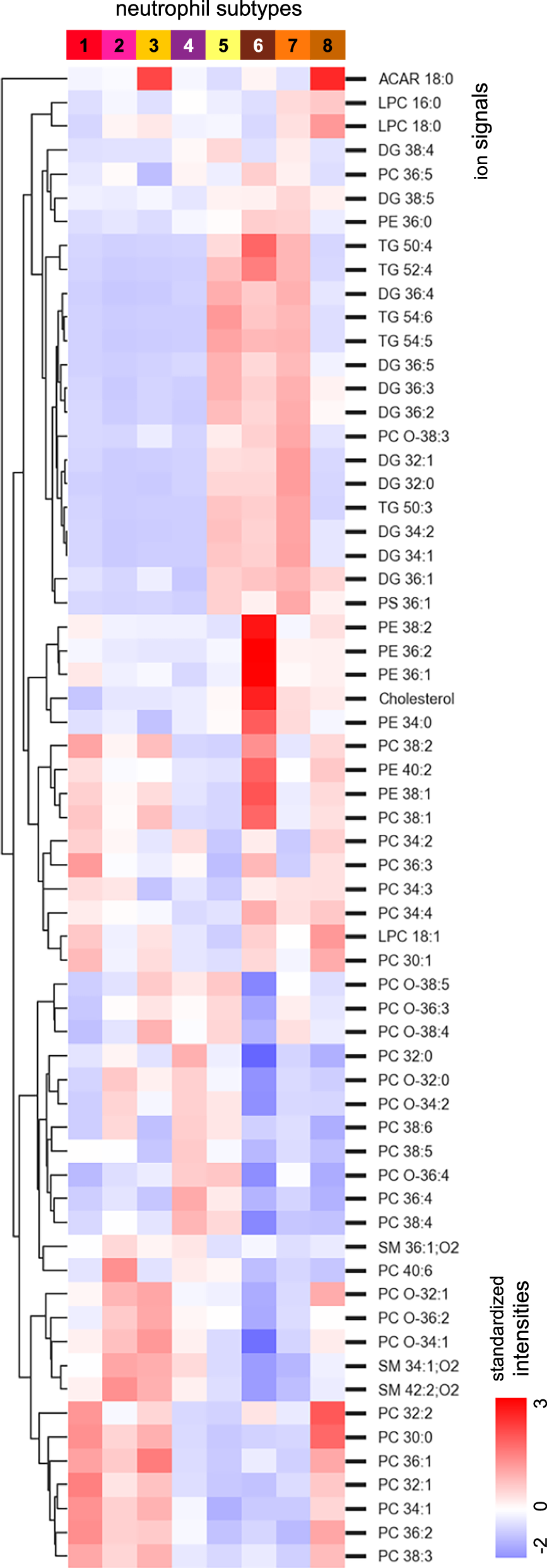 Fig. 8: Heatmap of lipid profiles across neutrophil subtypes.