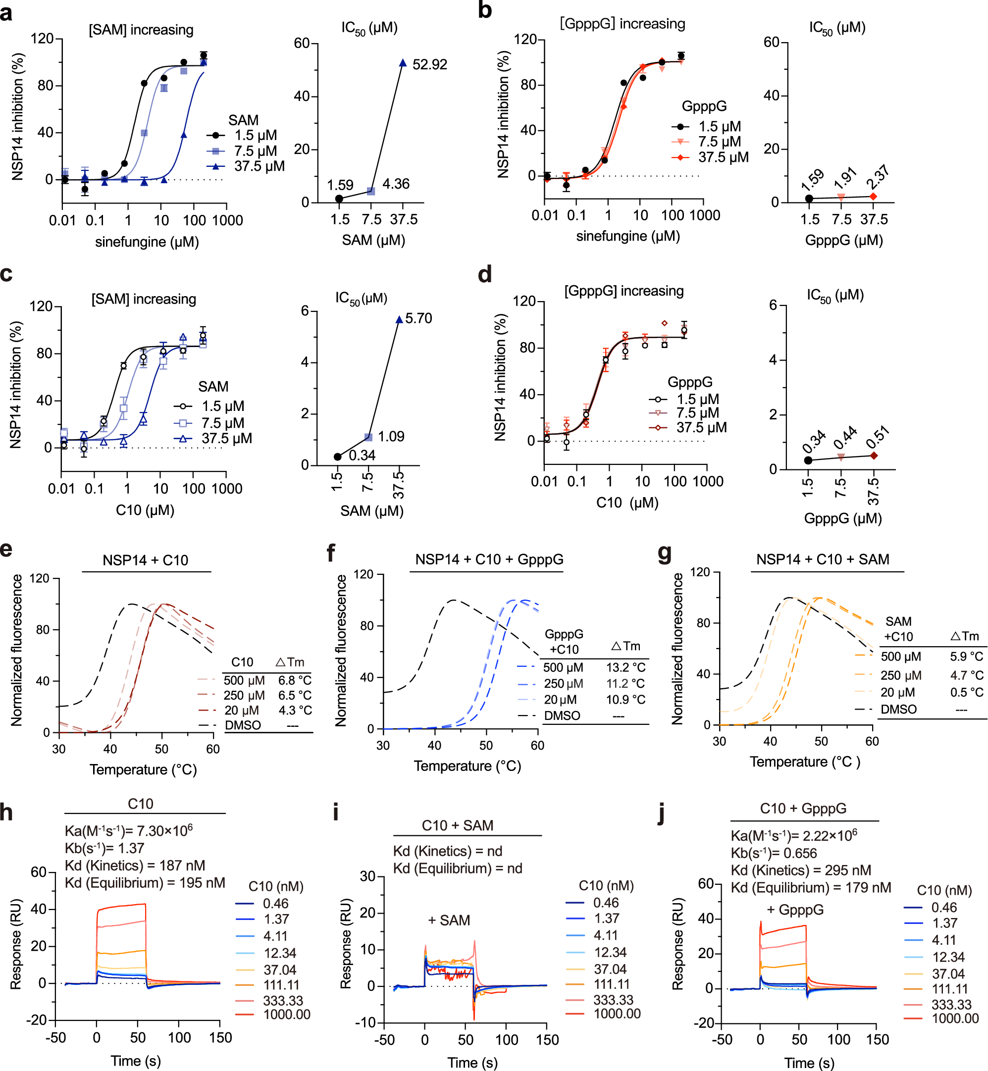 Fig. 2: Characterization of the binding mode of C10 to SARS-CoV-2 NSP14.