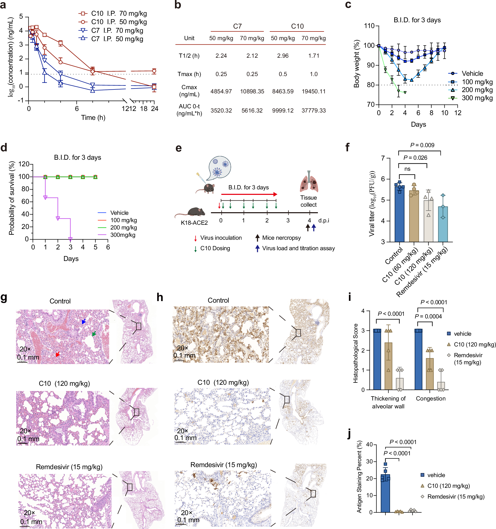 Fig. 8: Antiviral efficacy of C10 in a K18-hACE2 transgenic mouse model.