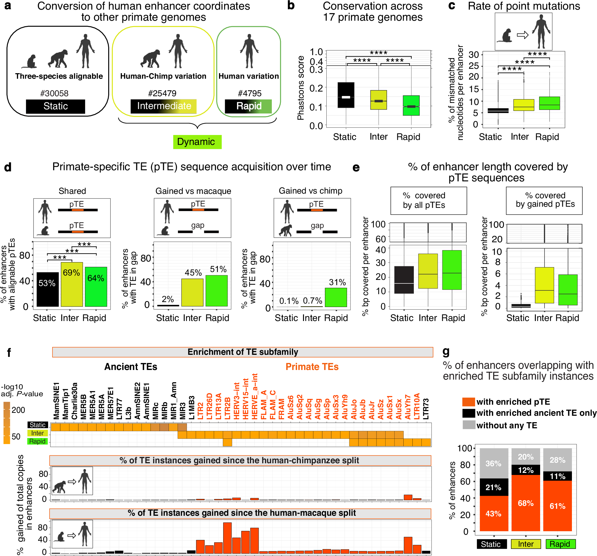 Fig. 1: Sequence evolution in putative human immune-cell enhancers since the human-macaque split.