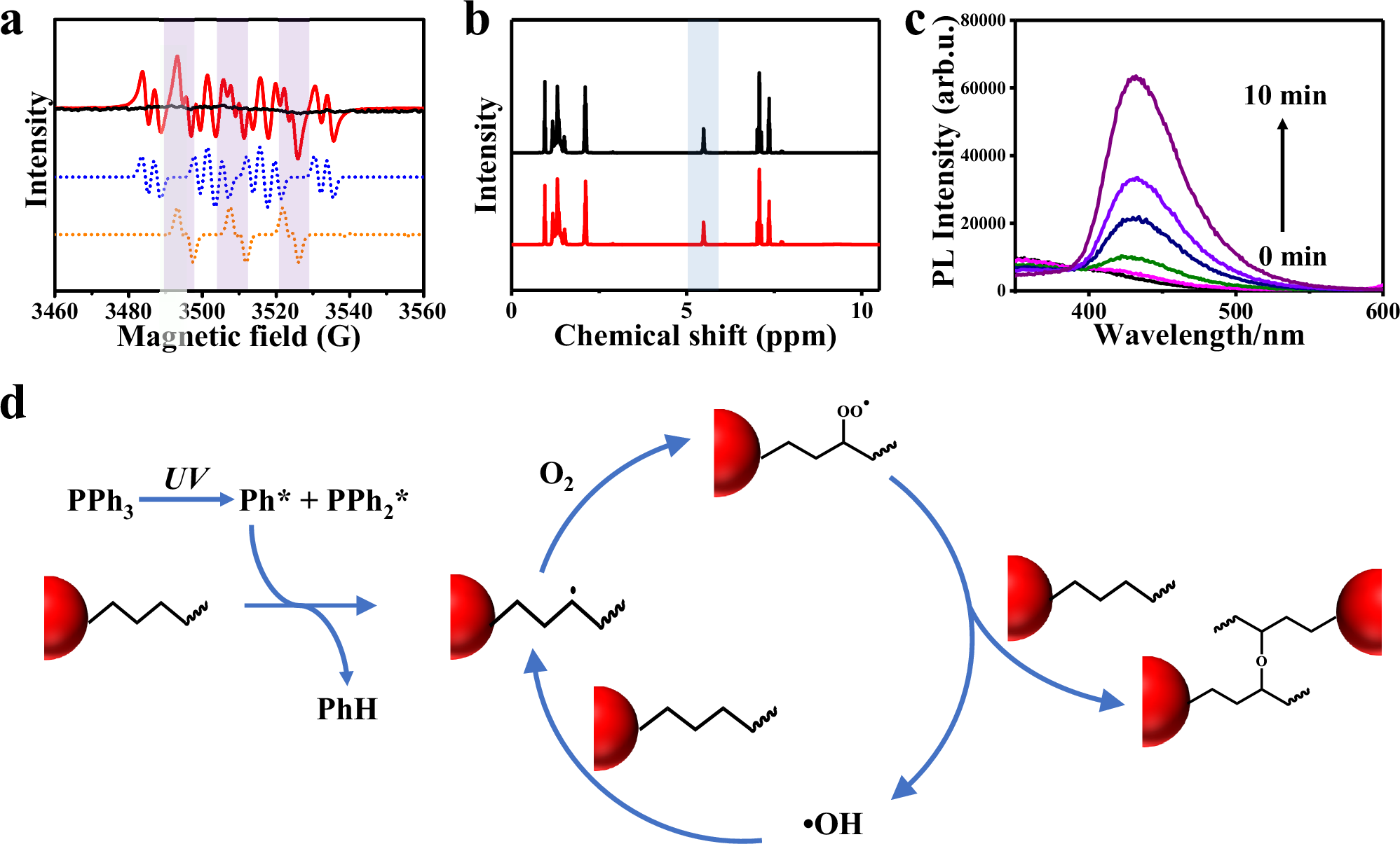 Fig. 3: Photosensitive molecules to initiate ligand cross-linking reactions.