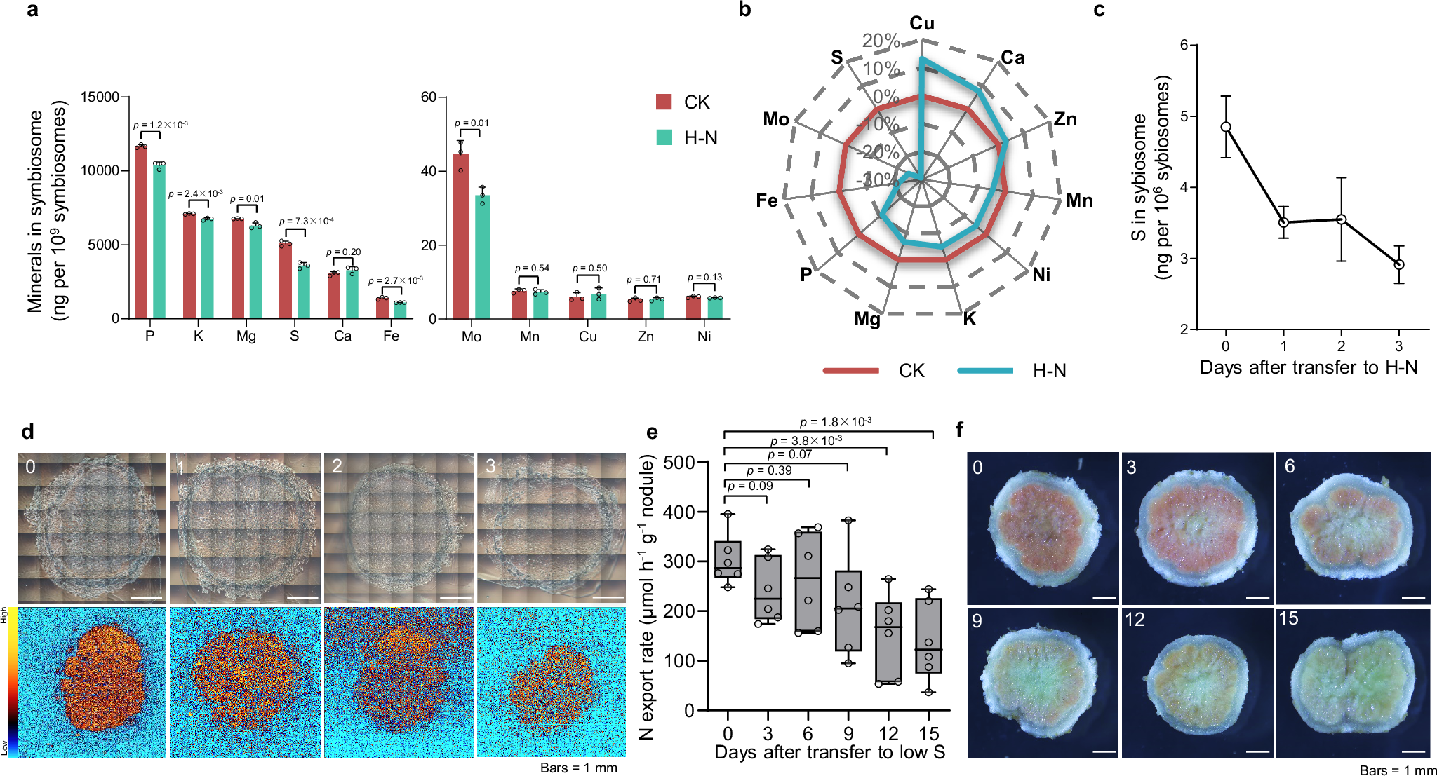 Fig. 1: S is involved in nodule senescence.
