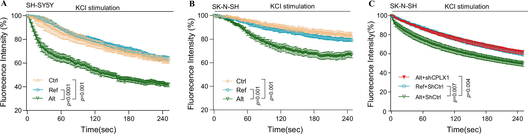 Fig. 6: FM4-64 imaging reveals vesicle release deficit associated with the LINC02449 alternative allele and CPLX1 dependence.