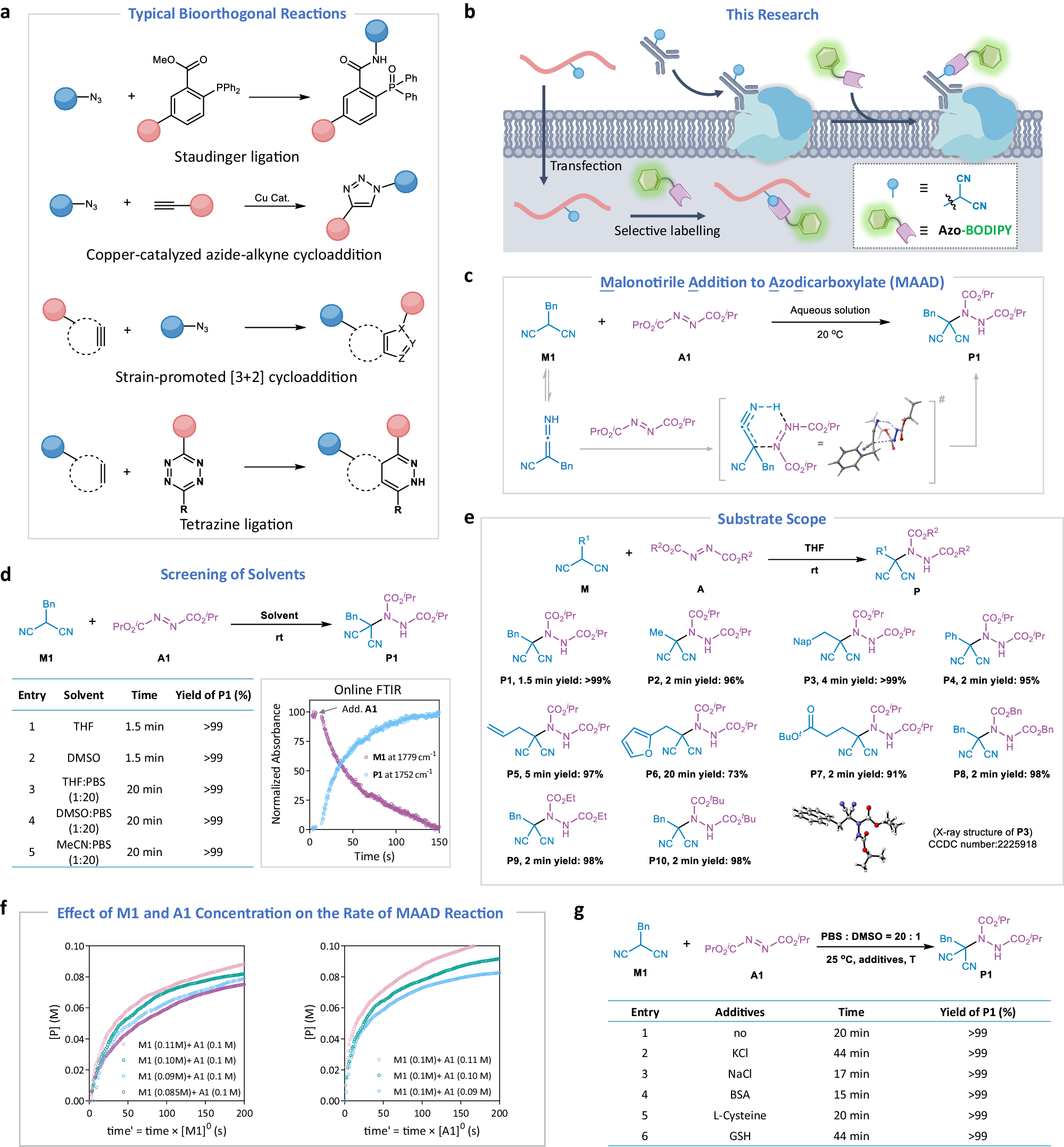 Fig. 1: Background information of bioorthogonal reaction and development of MAAD reaction.