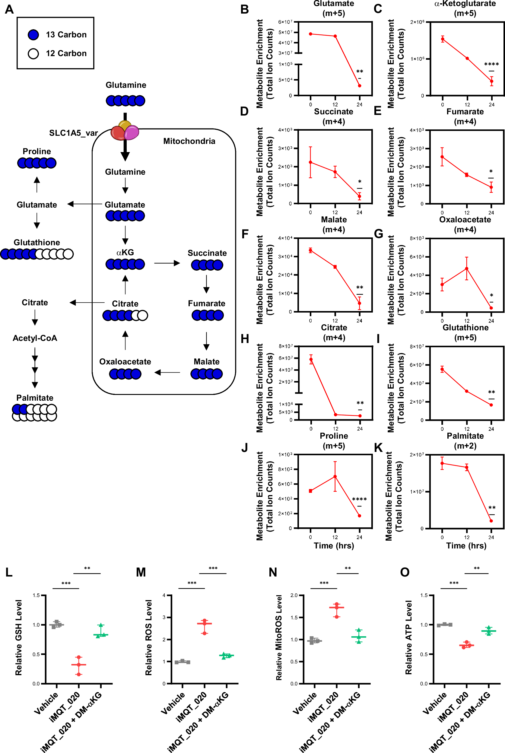 Fig. 2: Mitochondrial SLC1A5_var inhibition impairs glutamine anaplerosis and disrupts redox balance in pancreatic cancer cells.