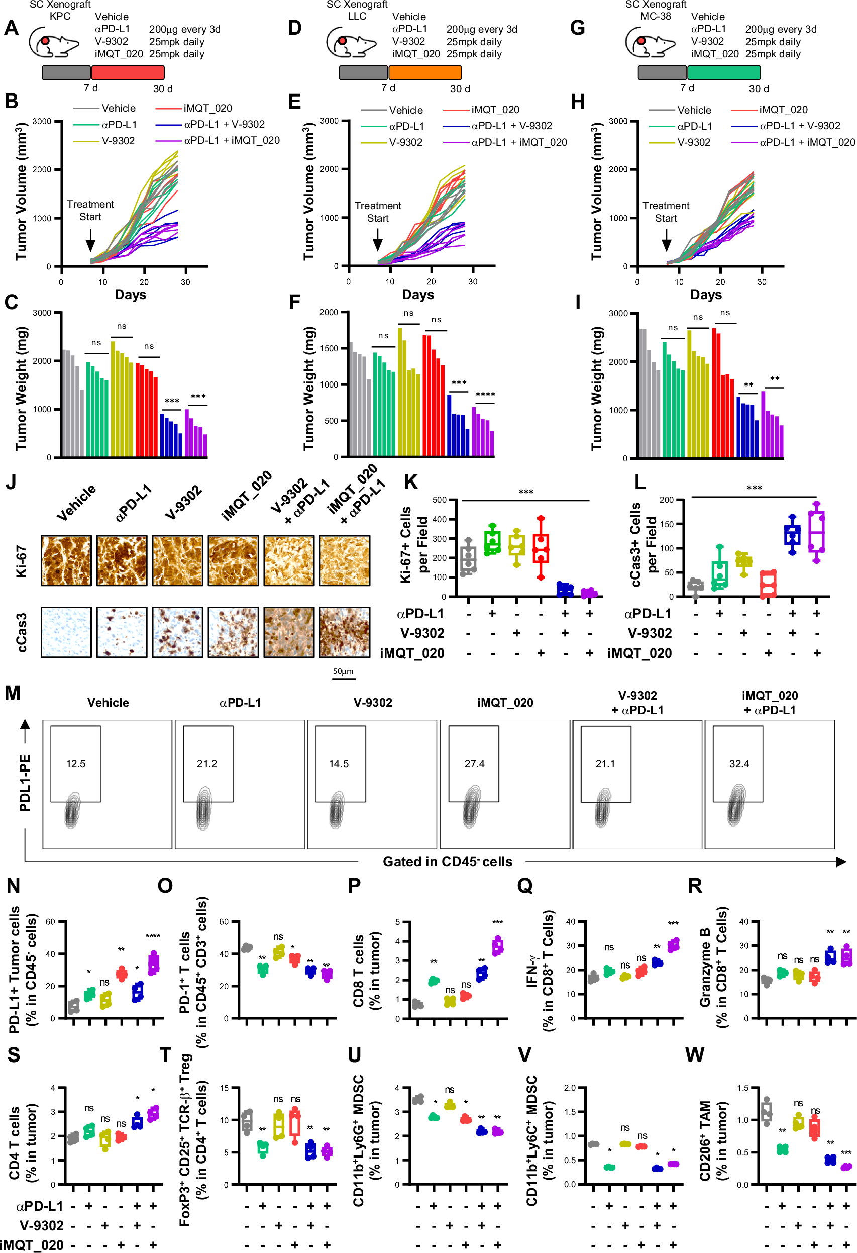 Fig. 7: Inhibition of mitochondrial SLC1A5_var inhibits cancer growth in vivo.