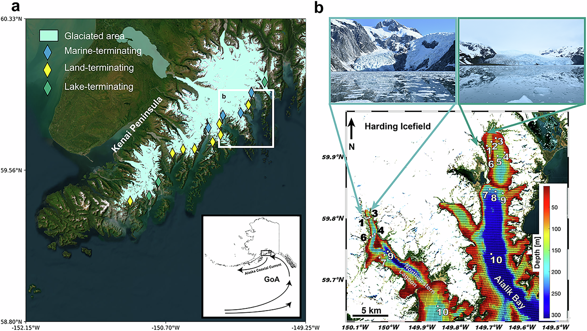 氷河後退で栄養供給が減少の恐れ（Retreating Glaciers May Send Fewer Nutrients to the Ocean）