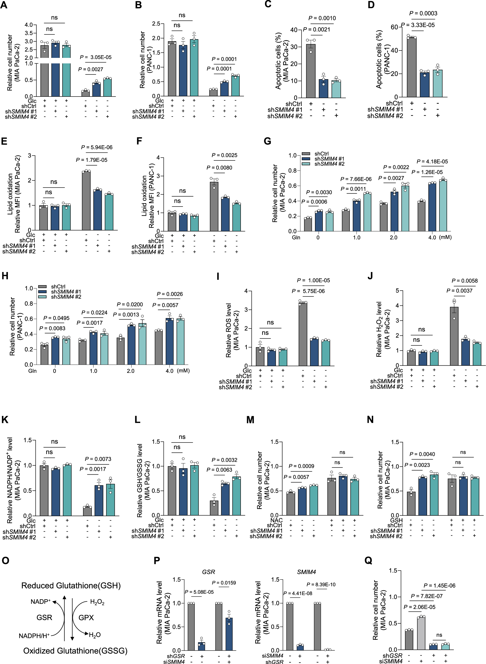 Fig. 3: SMIM4 depletion protects PDAC cells from glucose deprivation induced cell death.