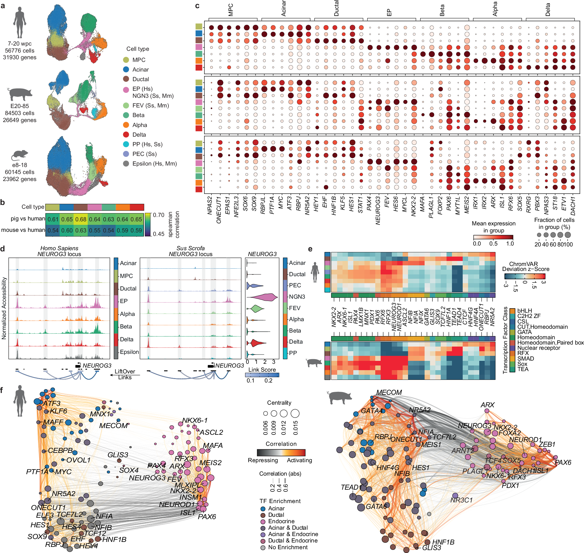Fig. 2: Cross-species multiome atlas comparison reveals conservation between species.