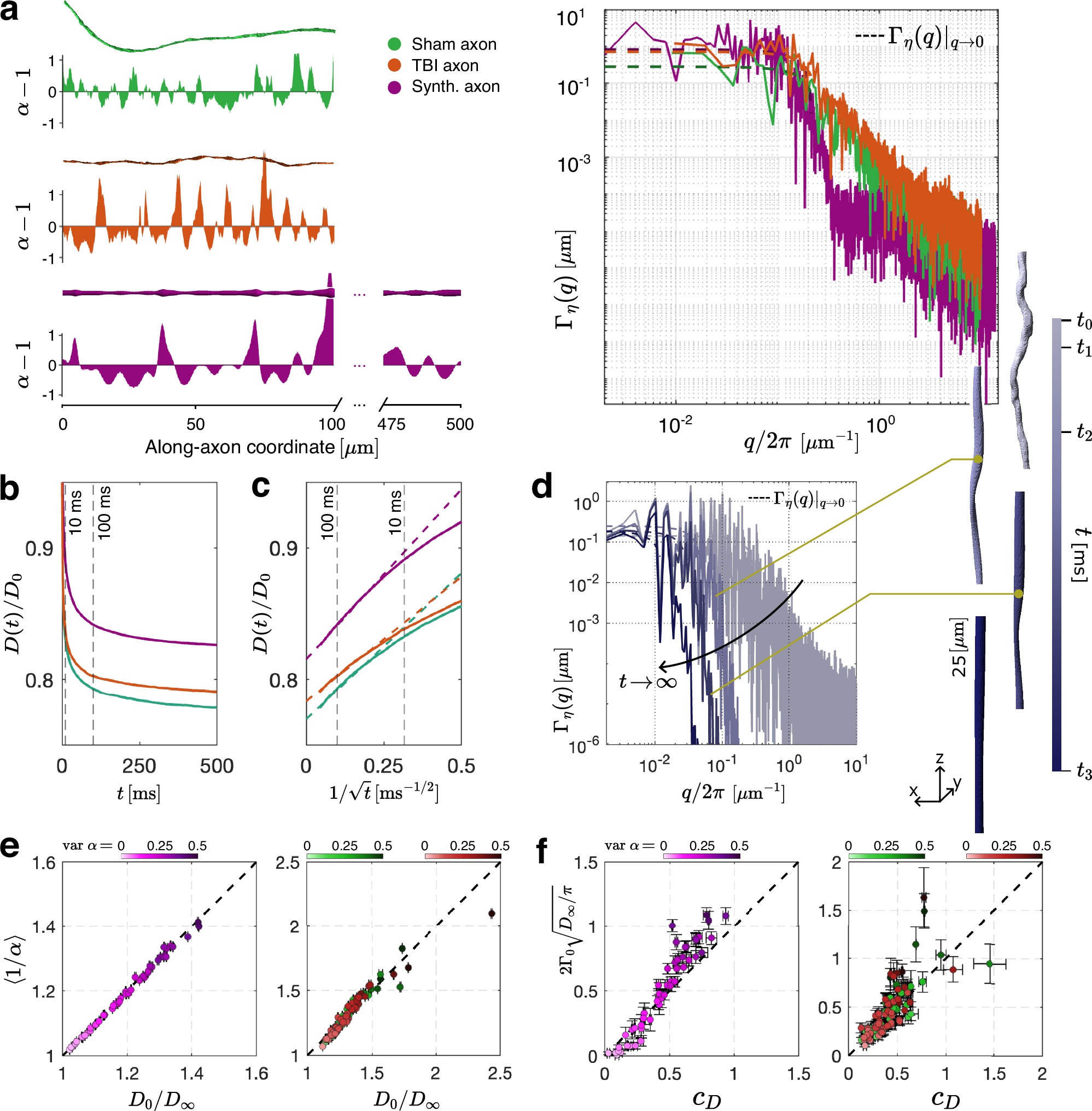 Fig. 2: From axon geometry to along-axon diffusivity.