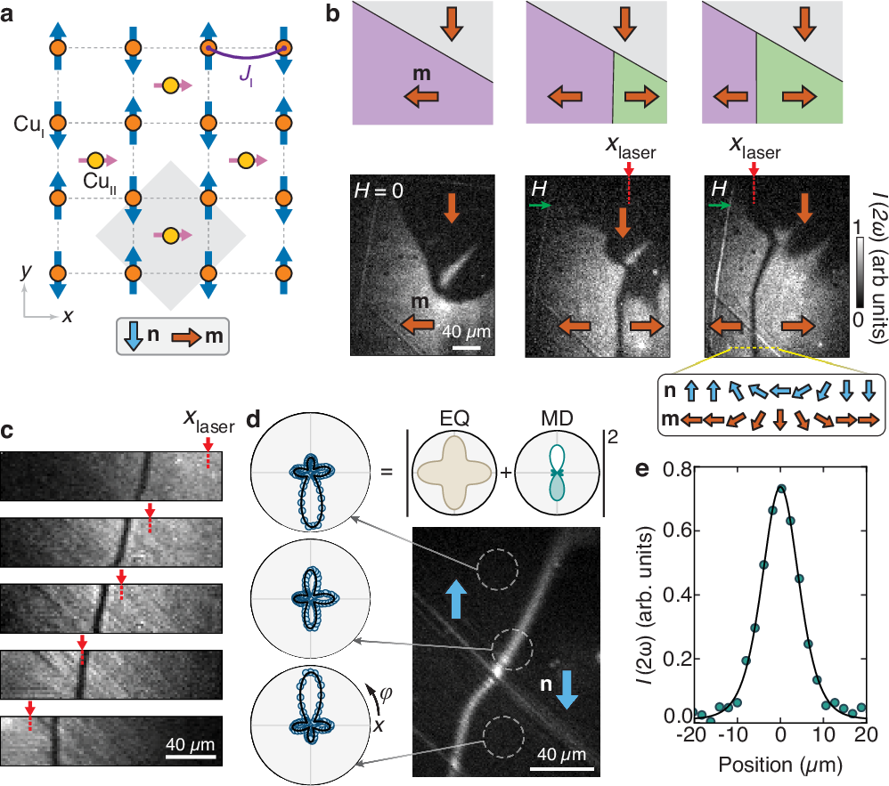 Fig. 1: Creation and positioning of wide antiphase Néel DWs.