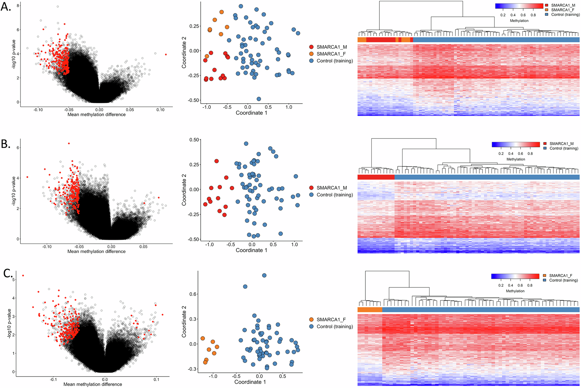 Fig. 3: Identified methylation profiles for individuals with SMARCA1 variants.