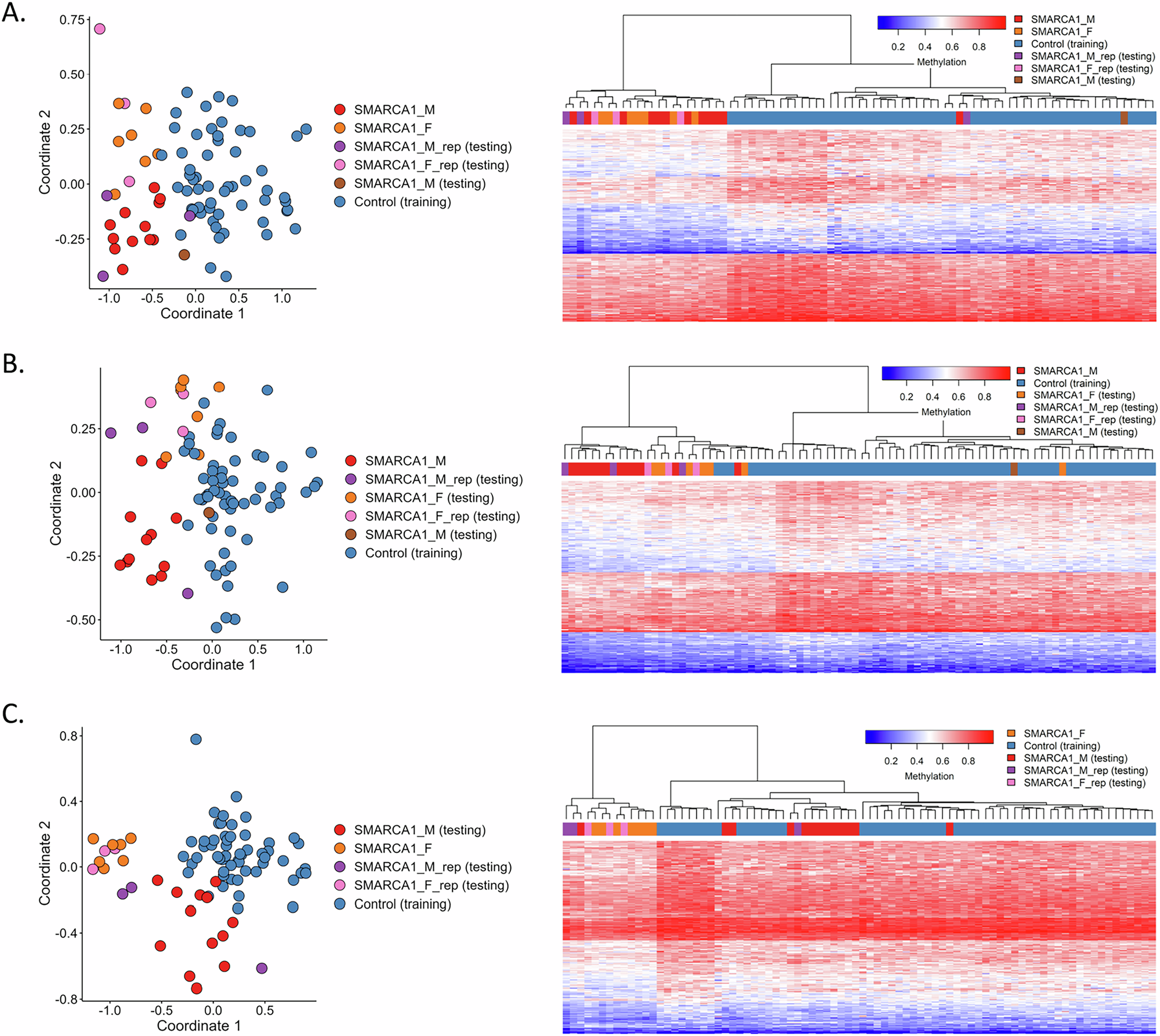 Fig. 4: Unsupervised clustering for non-discovery samples using methylation probes for the SMARCA1 cohort.