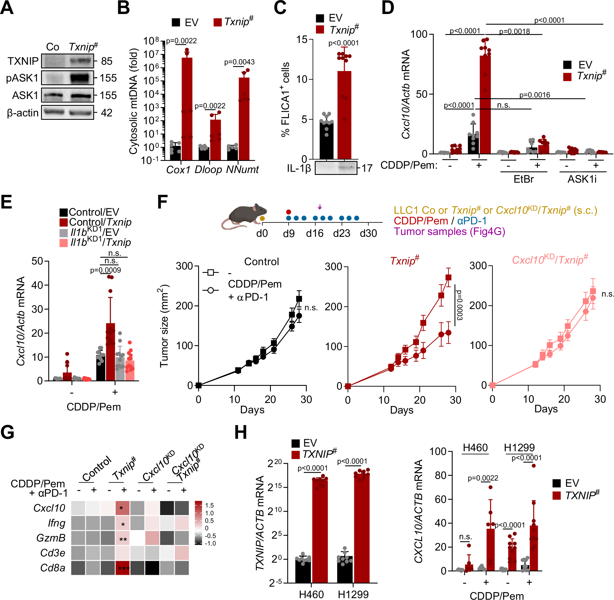 Fig. 4: TXNIP overexpression triggers chemo-immunotherapy efficacy.