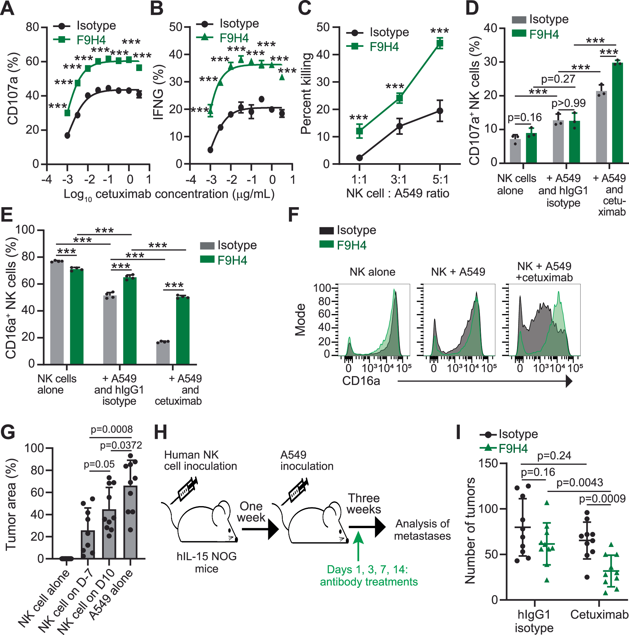 Fig. 3: F9H4 + cetuximab promote ADCC by human NK cells and inhibit metastases.