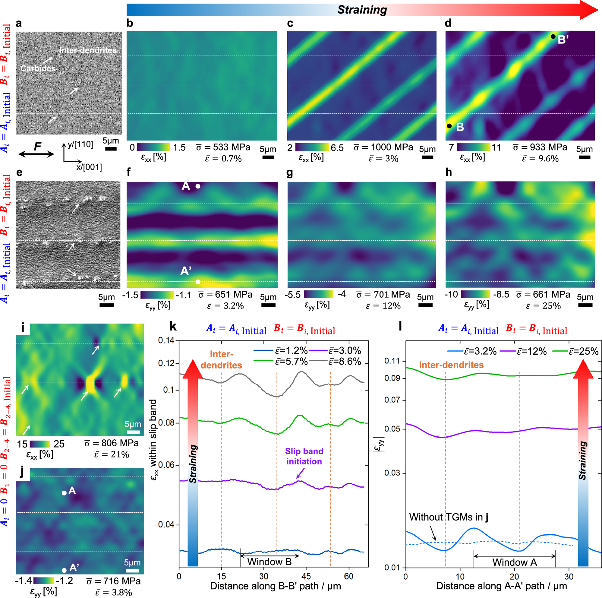 Fig. 3: TGMs-induced strain partitioning behavior at dendrite-scale.
