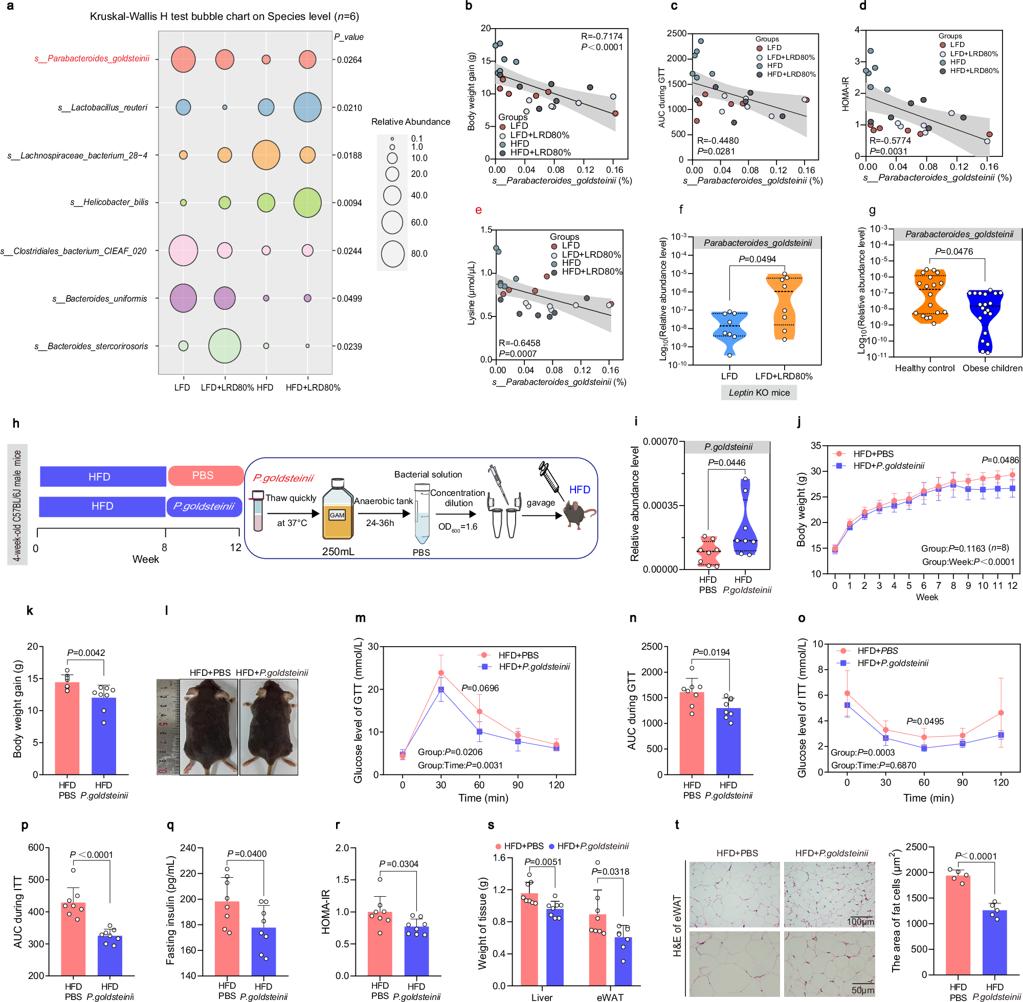Fig. 3: P. goldsteinii increased as a result of LRD has significant anti-obesity effects.