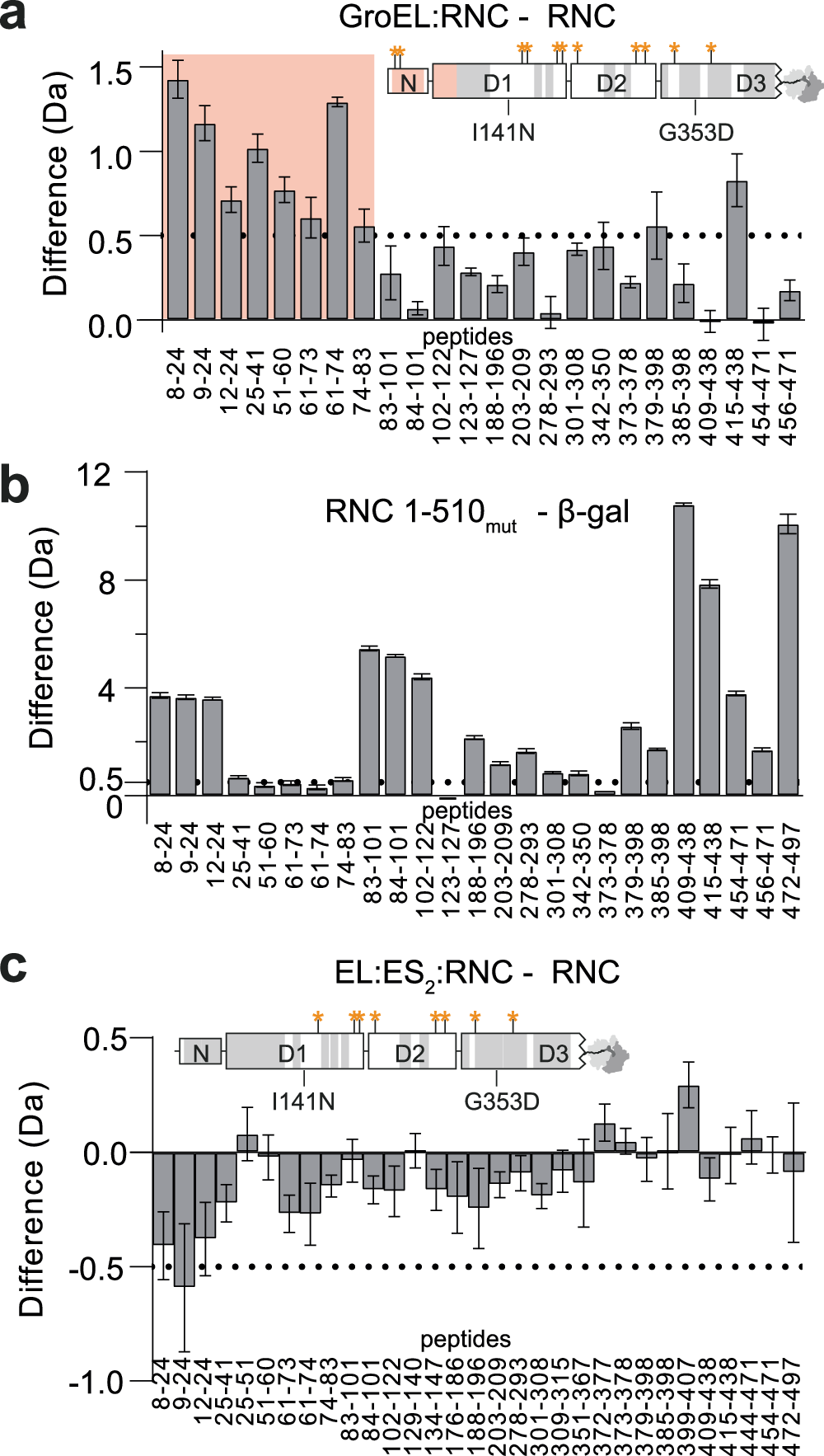 Fig. 7: GroEL locally destabilises the NC prior to encapsulation in GroEL:ES2.